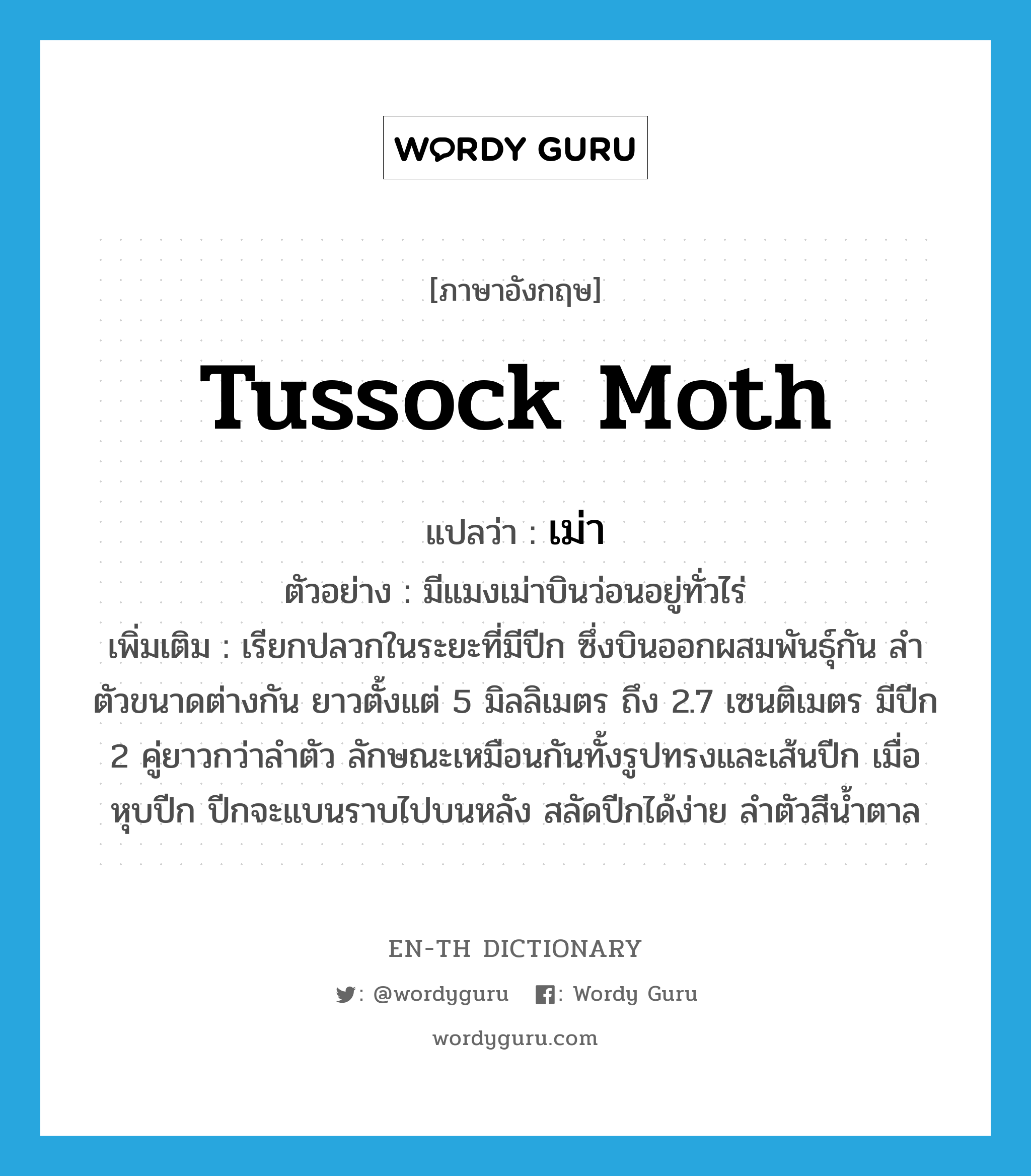 tussock moth แปลว่า?, คำศัพท์ภาษาอังกฤษ tussock moth แปลว่า เม่า ประเภท N ตัวอย่าง มีแมงเม่าบินว่อนอยู่ทั่วไร่ เพิ่มเติม เรียกปลวกในระยะที่มีปีก ซึ่งบินออกผสมพันธุ์กัน ลำตัวขนาดต่างกัน ยาวตั้งแต่ 5 มิลลิเมตร ถึง 2.7 เซนติเมตร มีปีก 2 คู่ยาวกว่าลำตัว ลักษณะเหมือนกันทั้งรูปทรงและเส้นปีก เมื่อหุบปีก ปีกจะแบนราบไปบนหลัง สลัดปีกได้ง่าย ลำตัวสีน้ำตาล หมวด N