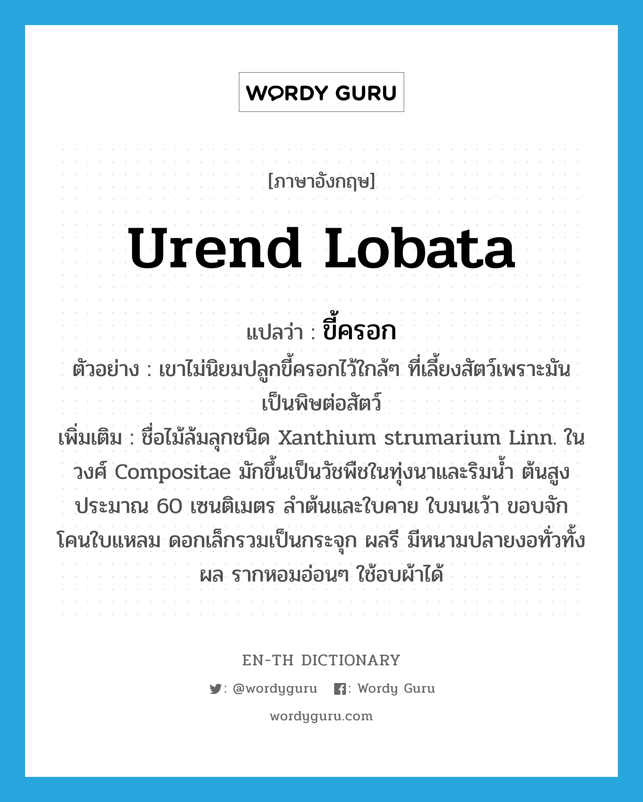 Urend lobata แปลว่า?, คำศัพท์ภาษาอังกฤษ Urend lobata แปลว่า ขี้ครอก ประเภท N ตัวอย่าง เขาไม่นิยมปลูกขี้ครอกไว้ใกล้ๆ ที่เลี้ยงสัตว์เพราะมันเป็นพิษต่อสัตว์ เพิ่มเติม ชื่อไม้ล้มลุกชนิด Xanthium strumarium Linn. ในวงศ์ Compositae มักขึ้นเป็นวัชพืชในทุ่งนาและริมน้ำ ต้นสูงประมาณ 60 เซนติเมตร ลำต้นและใบคาย ใบมนเว้า ขอบจัก โคนใบแหลม ดอกเล็กรวมเป็นกระจุก ผลรี มีหนามปลายงอทั่วทั้งผล รากหอมอ่อนๆ ใช้อบผ้าได้ หมวด N