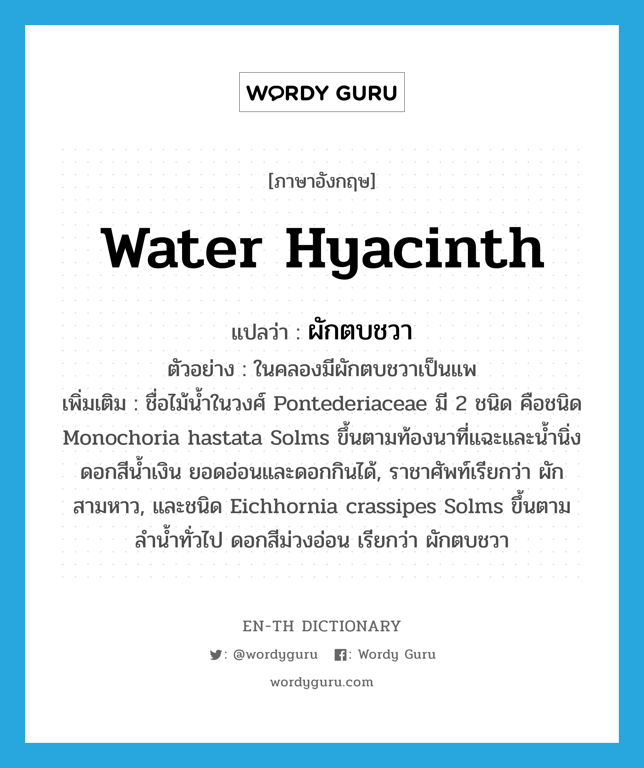 Water hyacinth แปลว่า?, คำศัพท์ภาษาอังกฤษ Water hyacinth แปลว่า ผักตบชวา ประเภท N ตัวอย่าง ในคลองมีผักตบชวาเป็นแพ เพิ่มเติม ชื่อไม้น้ำในวงศ์ Pontederiaceae มี 2 ชนิด คือชนิด Monochoria hastata Solms ขึ้นตามท้องนาที่แฉะและน้ำนิ่ง ดอกสีน้ำเงิน ยอดอ่อนและดอกกินได้, ราชาศัพท์เรียกว่า ผักสามหาว, และชนิด Eichhornia crassipes Solms ขึ้นตามลำน้ำทั่วไป ดอกสีม่วงอ่อน เรียกว่า ผักตบชวา หมวด N