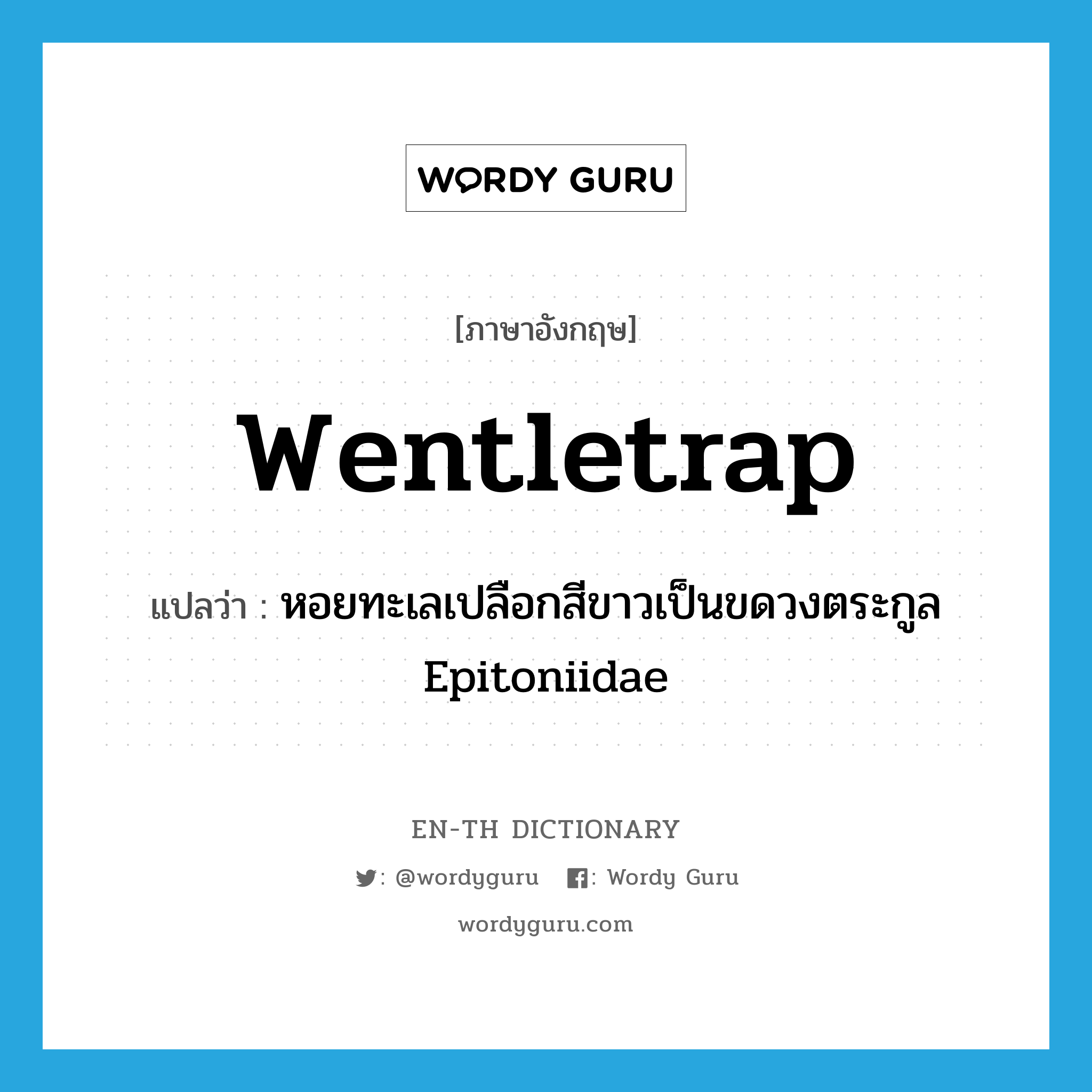 wentletrap แปลว่า?, คำศัพท์ภาษาอังกฤษ wentletrap แปลว่า หอยทะเลเปลือกสีขาวเป็นขดวงตระกูล Epitoniidae ประเภท N หมวด N