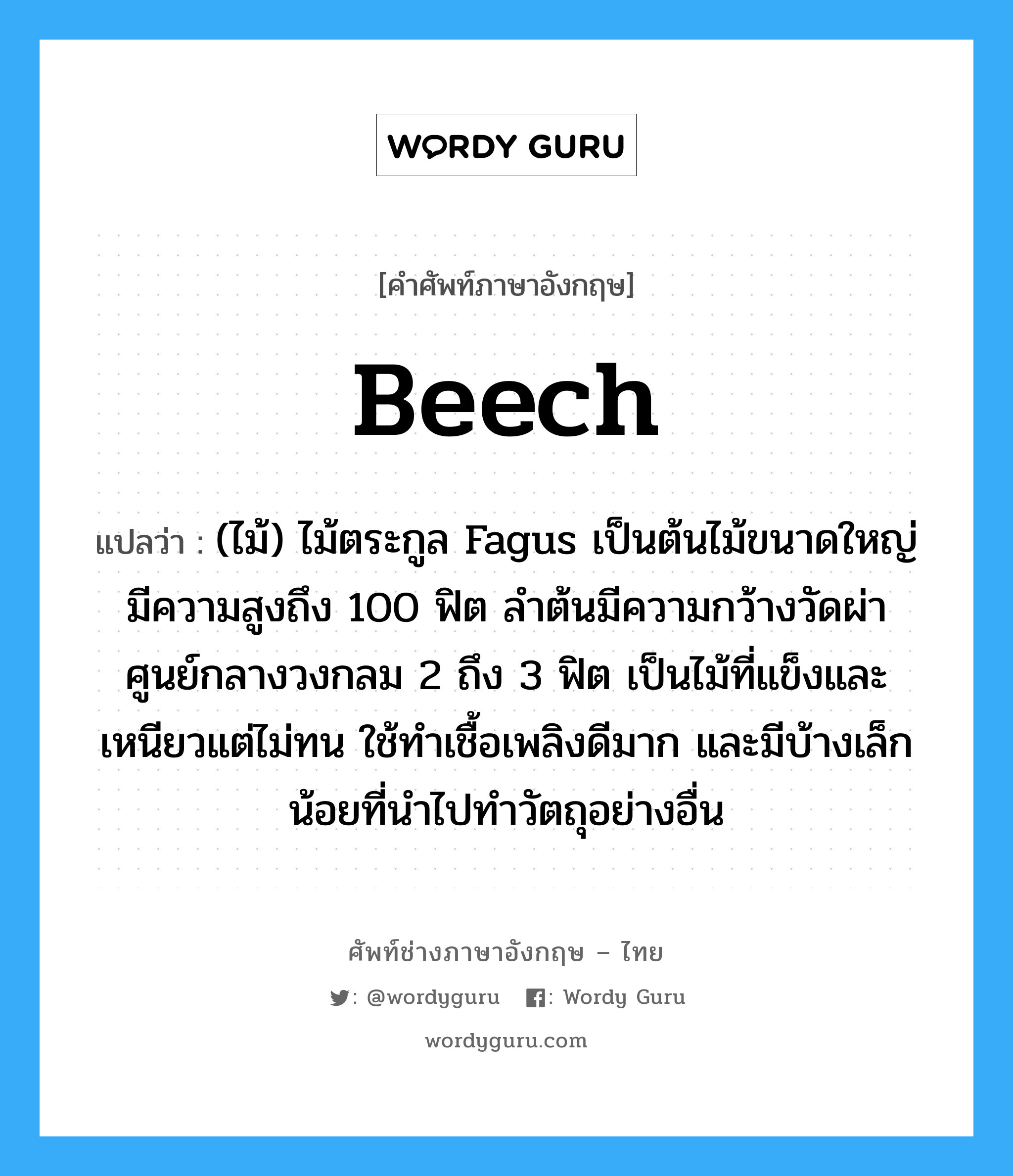 beech แปลว่า?, คำศัพท์ช่างภาษาอังกฤษ - ไทย beech คำศัพท์ภาษาอังกฤษ beech แปลว่า (ไม้) ไม้ตระกูล Fagus เป็นต้นไม้ขนาดใหญ่มีความสูงถึง 100 ฟิต ลำต้นมีความกว้างวัดผ่าศูนย์กลางวงกลม 2 ถึง 3 ฟิต เป็นไม้ที่แข็งและเหนียวแต่ไม่ทน ใช้ทำเชื้อเพลิงดีมาก และมีบ้างเล็กน้อยที่นำไปทำวัตถุอย่างอื่น