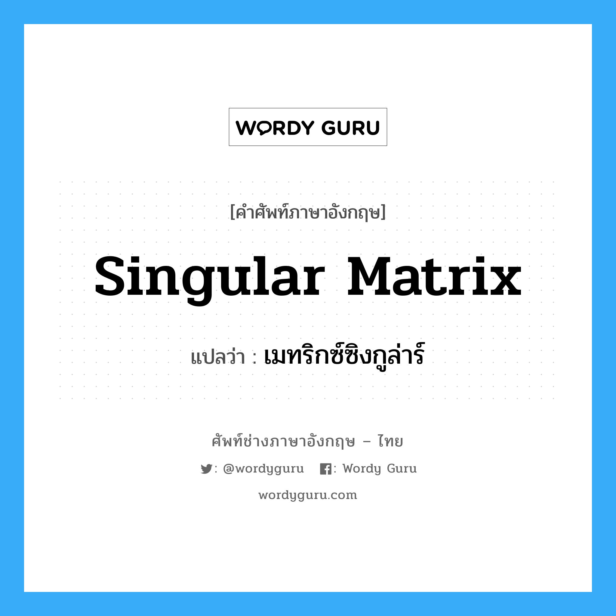 Singular Matrix แปลว่า?, คำศัพท์ช่างภาษาอังกฤษ - ไทย Singular Matrix คำศัพท์ภาษาอังกฤษ Singular Matrix แปลว่า เมทริกซ์ซิงกูล่าร์