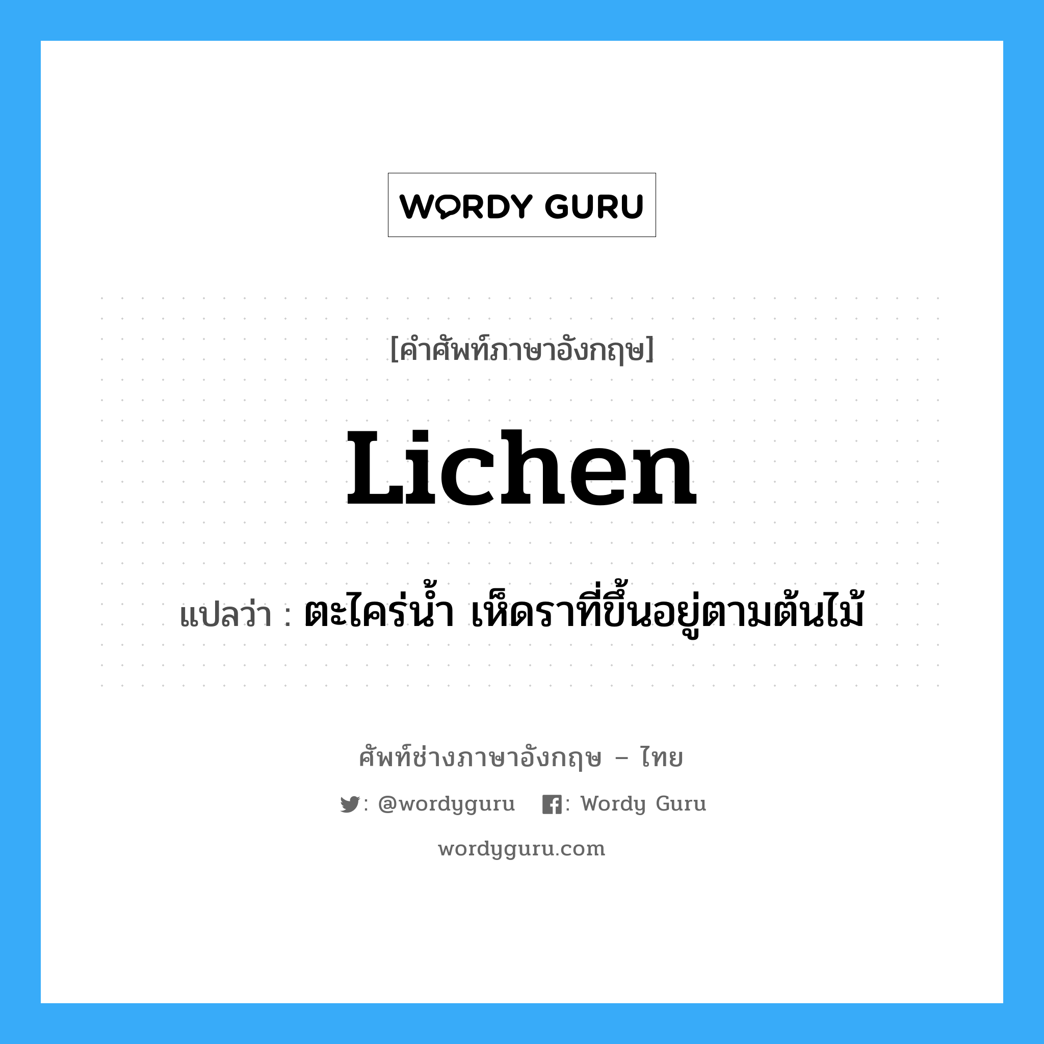 ตะไคร่น้ำ เห็ดราที่ขึ้นอยู่ตามต้นไม้ ภาษาอังกฤษ?, คำศัพท์ช่างภาษาอังกฤษ - ไทย ตะไคร่น้ำ เห็ดราที่ขึ้นอยู่ตามต้นไม้ คำศัพท์ภาษาอังกฤษ ตะไคร่น้ำ เห็ดราที่ขึ้นอยู่ตามต้นไม้ แปลว่า lichen