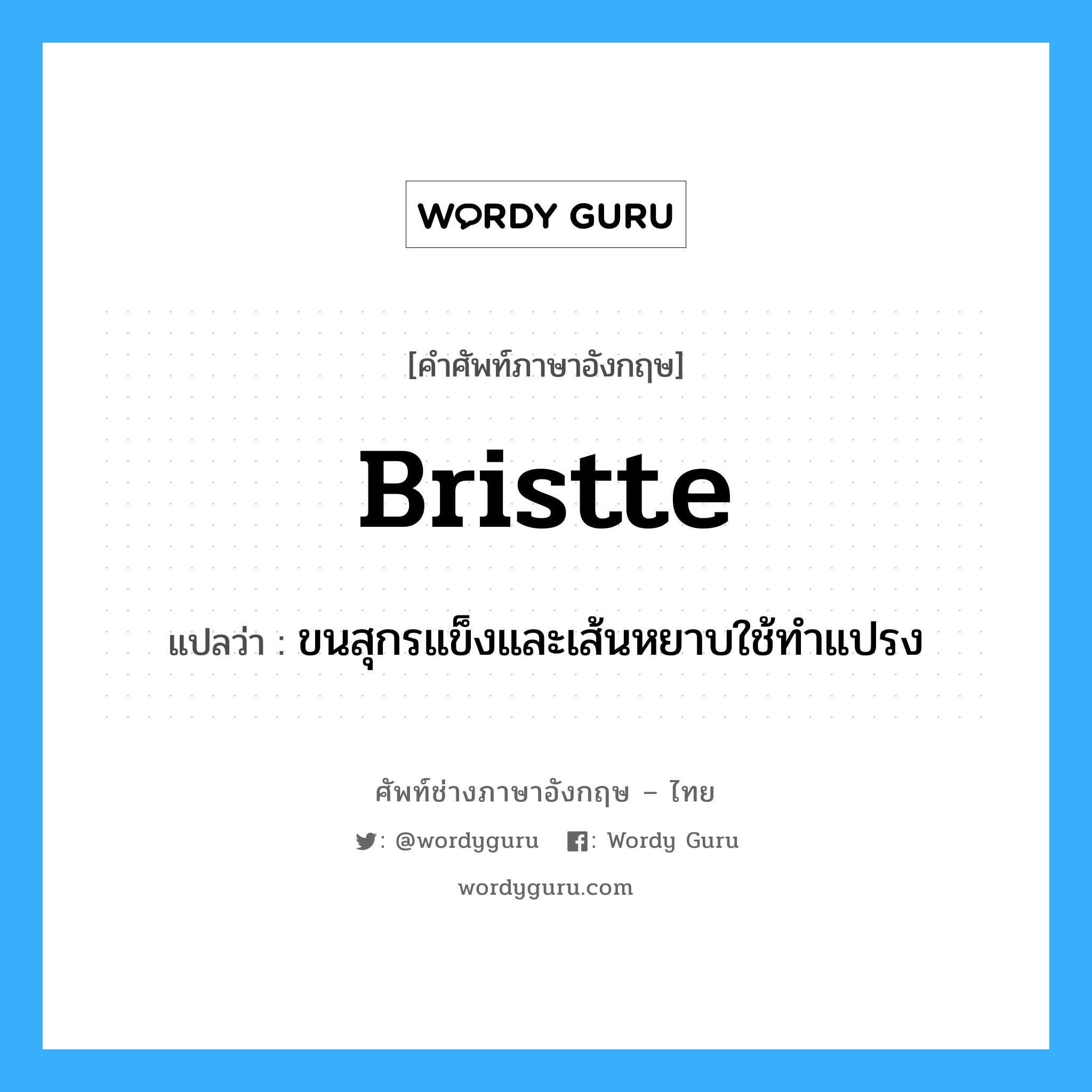 bristte แปลว่า?, คำศัพท์ช่างภาษาอังกฤษ - ไทย bristte คำศัพท์ภาษาอังกฤษ bristte แปลว่า ขนสุกรแข็งและเส้นหยาบใช้ทำแปรง