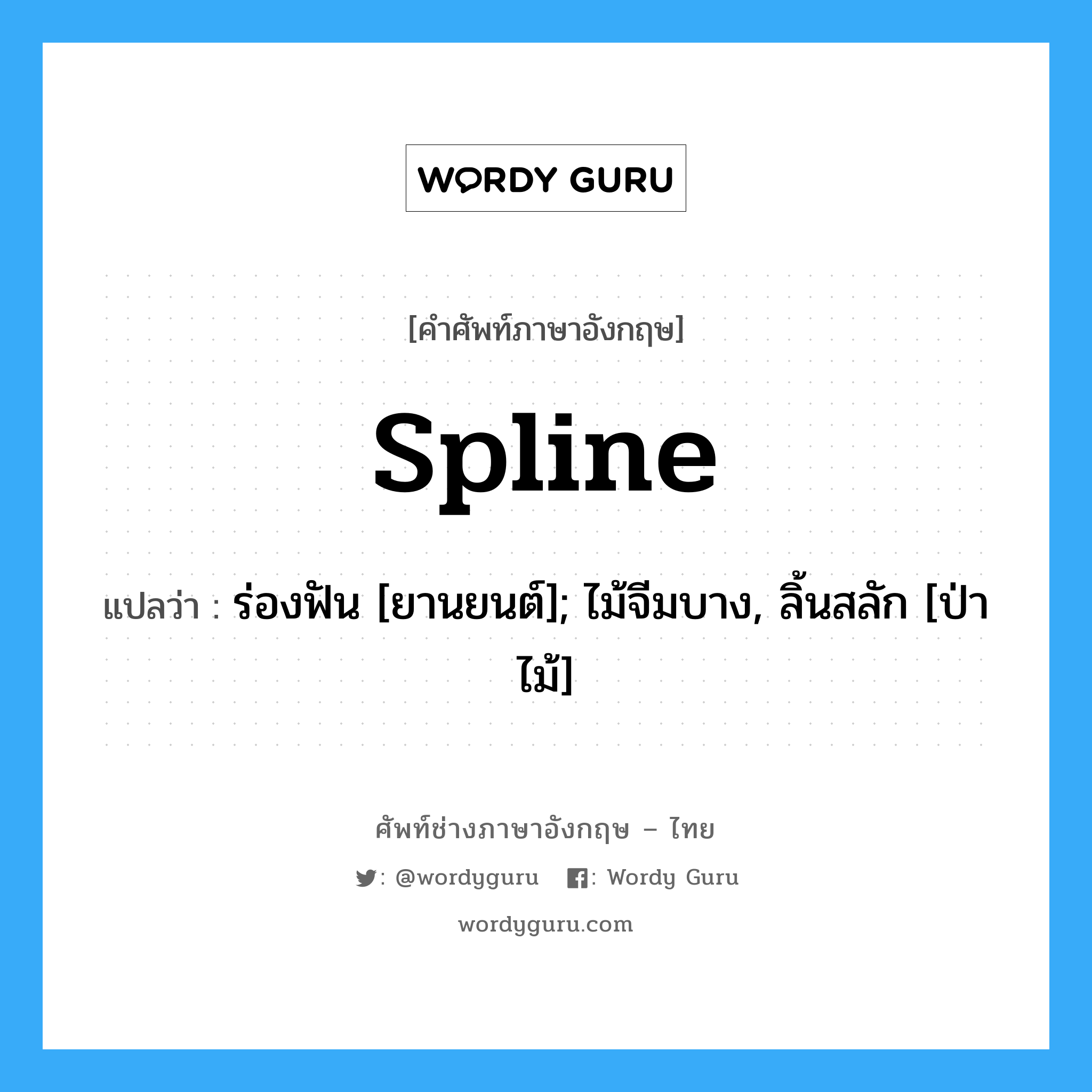 spline แปลว่า?, คำศัพท์ช่างภาษาอังกฤษ - ไทย spline คำศัพท์ภาษาอังกฤษ spline แปลว่า ร่องฟัน [ยานยนต์]; ไม้จีมบาง, ลิ้นสลัก [ป่าไม้]