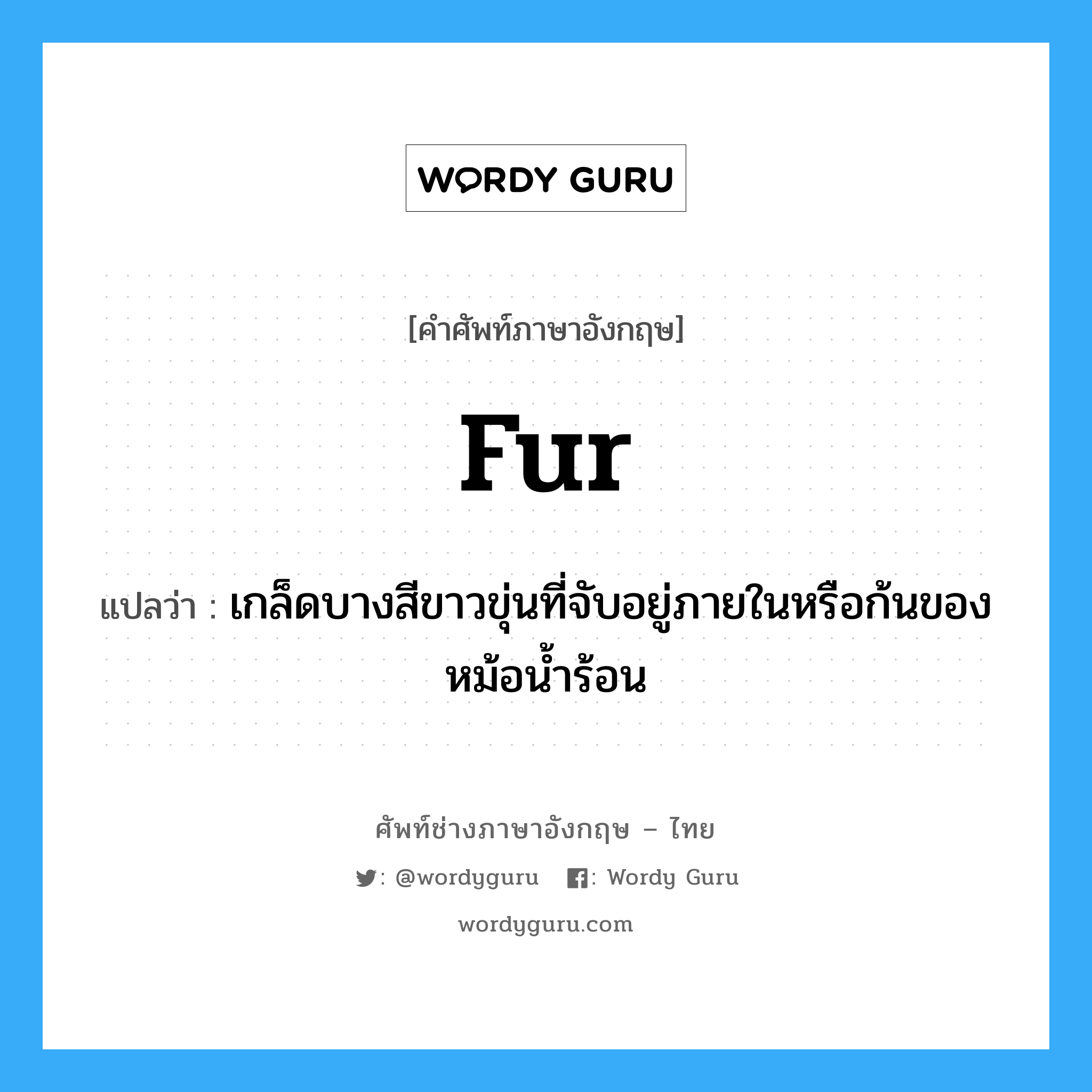 fur แปลว่า?, คำศัพท์ช่างภาษาอังกฤษ - ไทย fur คำศัพท์ภาษาอังกฤษ fur แปลว่า เกล็ดบางสีขาวขุ่นที่จับอยู่ภายในหรือก้นของหม้อน้ำร้อน