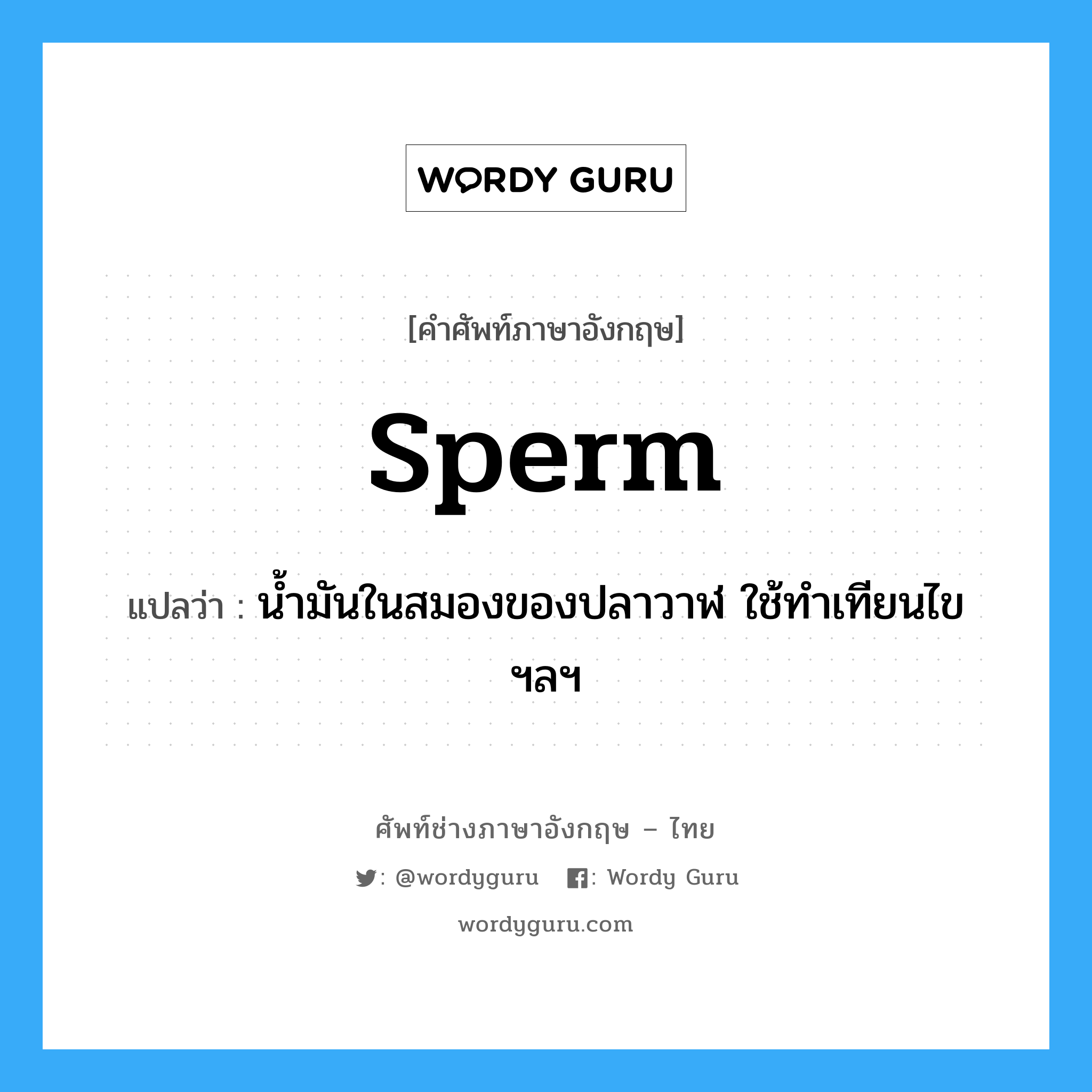 sperm แปลว่า?, คำศัพท์ช่างภาษาอังกฤษ - ไทย sperm คำศัพท์ภาษาอังกฤษ sperm แปลว่า น้ำมันในสมองของปลาวาฬ ใช้ทำเทียนไข ฯลฯ