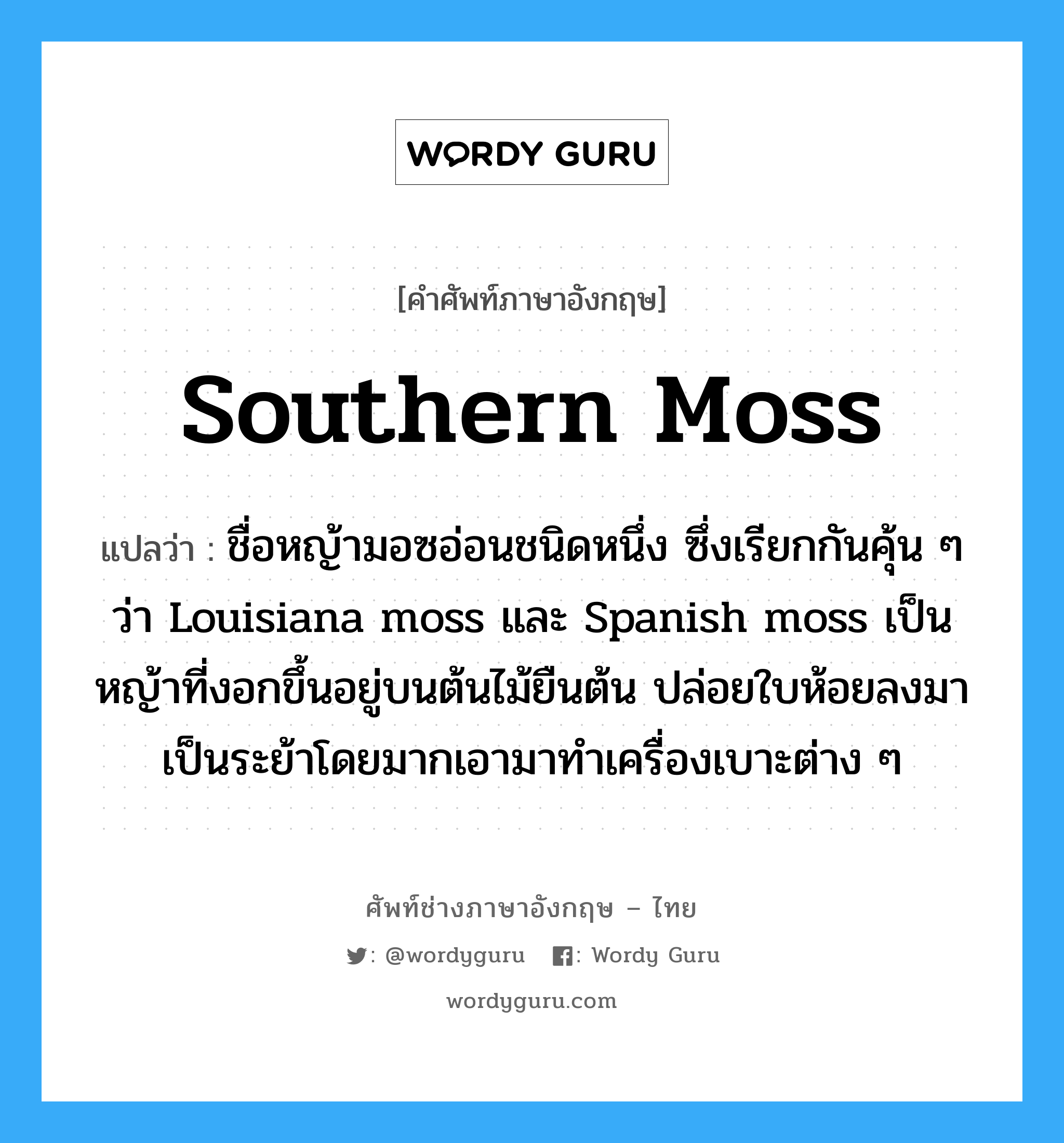 southern moss แปลว่า?, คำศัพท์ช่างภาษาอังกฤษ - ไทย southern moss คำศัพท์ภาษาอังกฤษ southern moss แปลว่า ชื่อหญ้ามอซอ่อนชนิดหนึ่ง ซึ่งเรียกกันคุ้น ๆ ว่า Louisiana moss และ Spanish moss เป็นหญ้าที่งอกขึ้นอยู่บนต้นไม้ยืนต้น ปล่อยใบห้อยลงมาเป็นระย้าโดยมากเอามาทำเครื่องเบาะต่าง ๆ