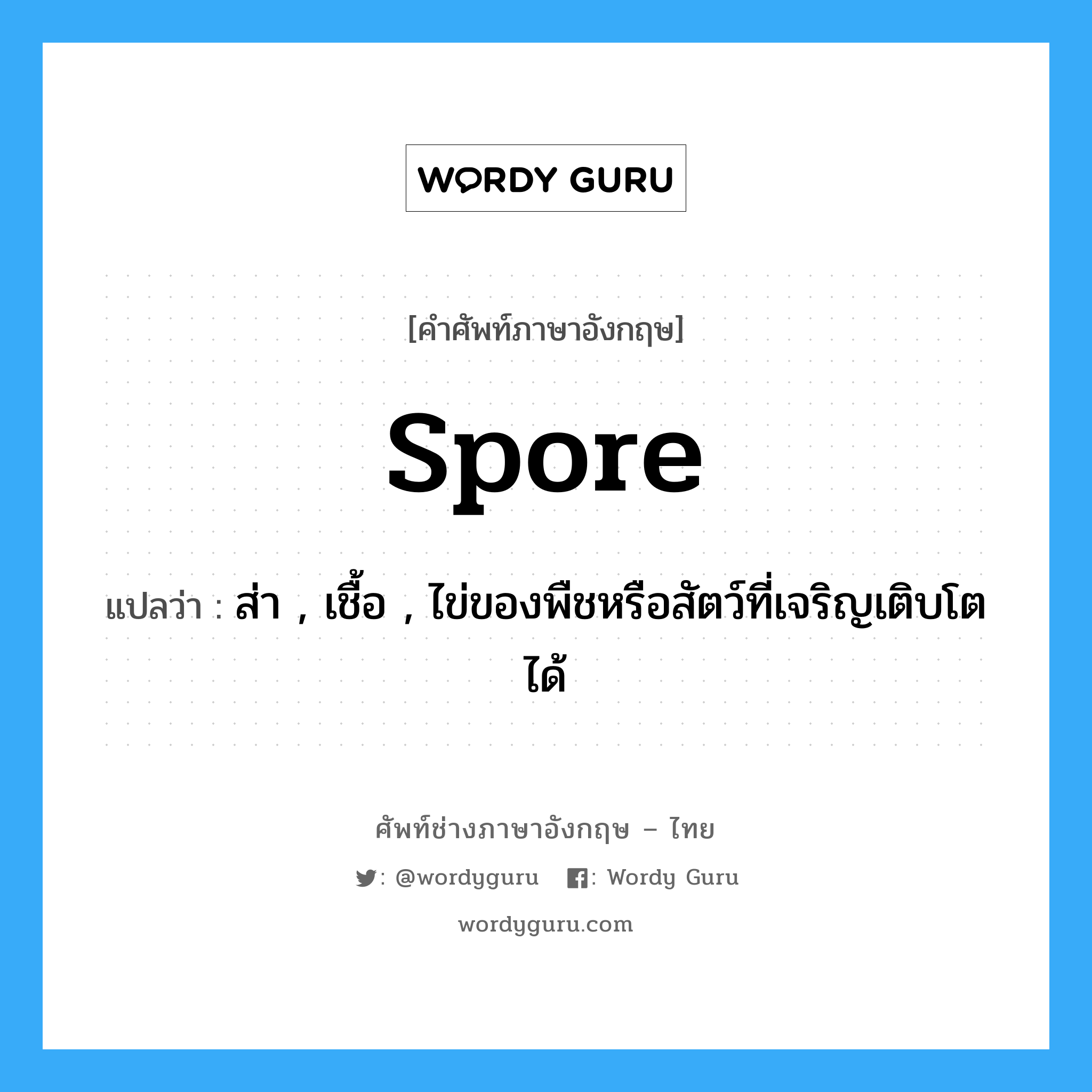 spore แปลว่า?, คำศัพท์ช่างภาษาอังกฤษ - ไทย spore คำศัพท์ภาษาอังกฤษ spore แปลว่า ส่า , เชื้อ , ไข่ของพืชหรือสัตว์ที่เจริญเติบโตได้