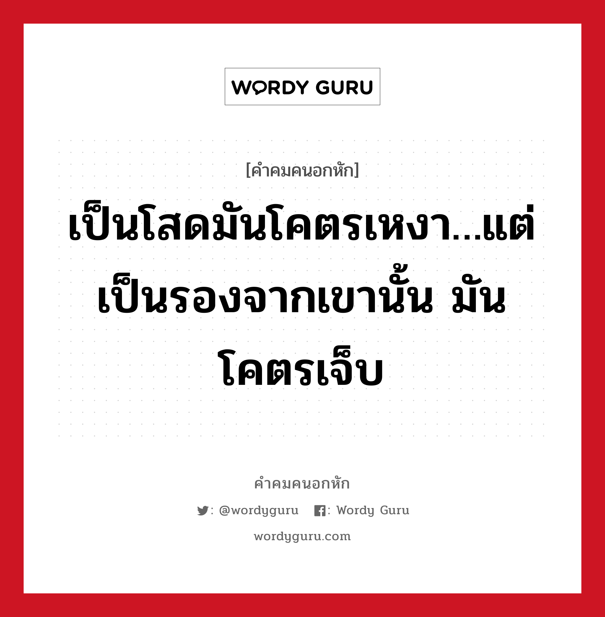 เป็นโสดมันโคตรเหงา…แต่เป็นรองจากเขานั้น มันโคตรเจ็บ, คําคมคนอกหัก เป็นโสดมันโคตรเหงา…แต่เป็นรองจากเขานั้น มันโคตรเจ็บ