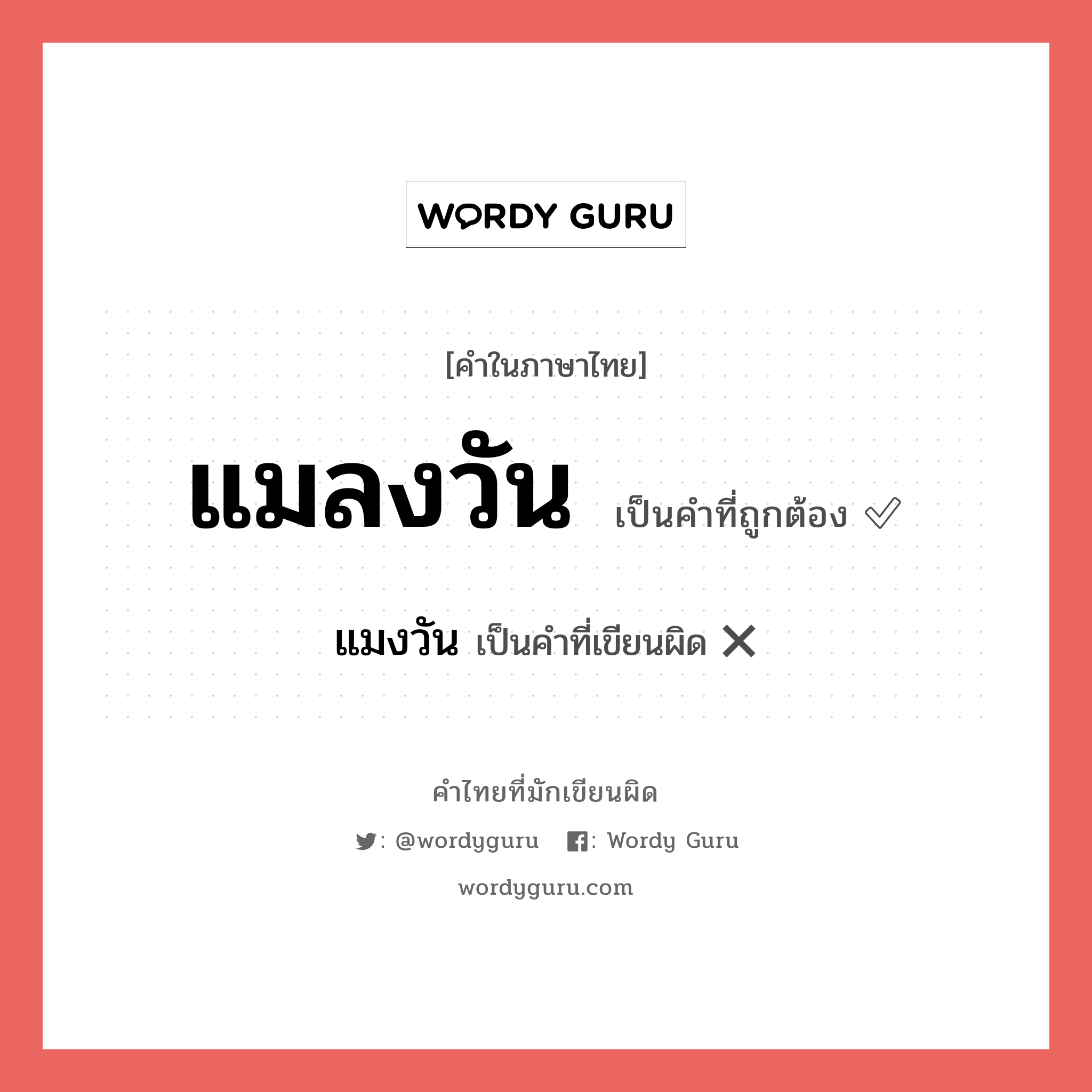 แมลงวัน หรือ แมงวัน คำไหนเขียนถูก?, คำในภาษาไทยที่มักเขียนผิด แมลงวัน คำที่ผิด ❌ แมงวัน