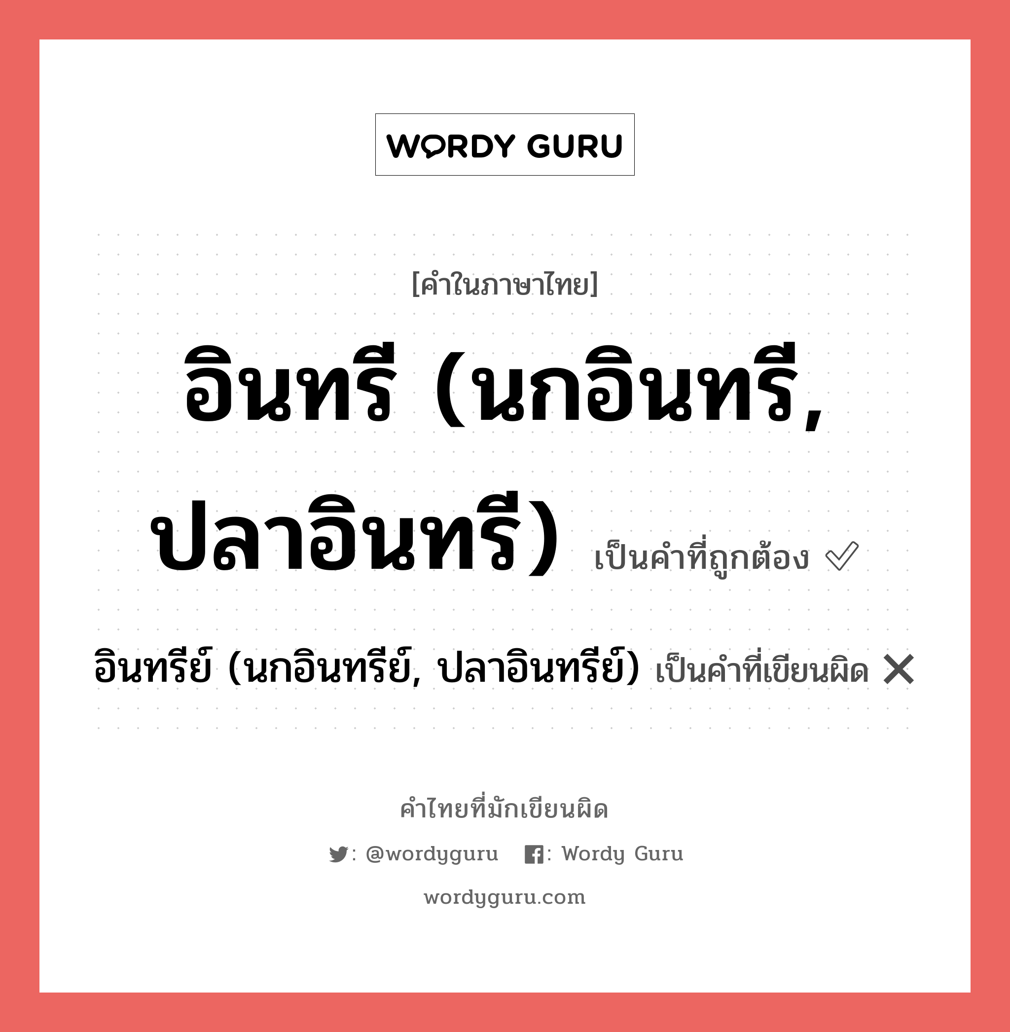 อินทรี (นกอินทรี, ปลาอินทรี) หรือ อินทรีย์ (นกอินทรีย์, ปลาอินทรีย์) คำไหนเขียนถูก?, คำในภาษาไทยที่มักเขียนผิด อินทรี (นกอินทรี, ปลาอินทรี) คำที่ผิด ❌ อินทรีย์ (นกอินทรีย์, ปลาอินทรีย์)