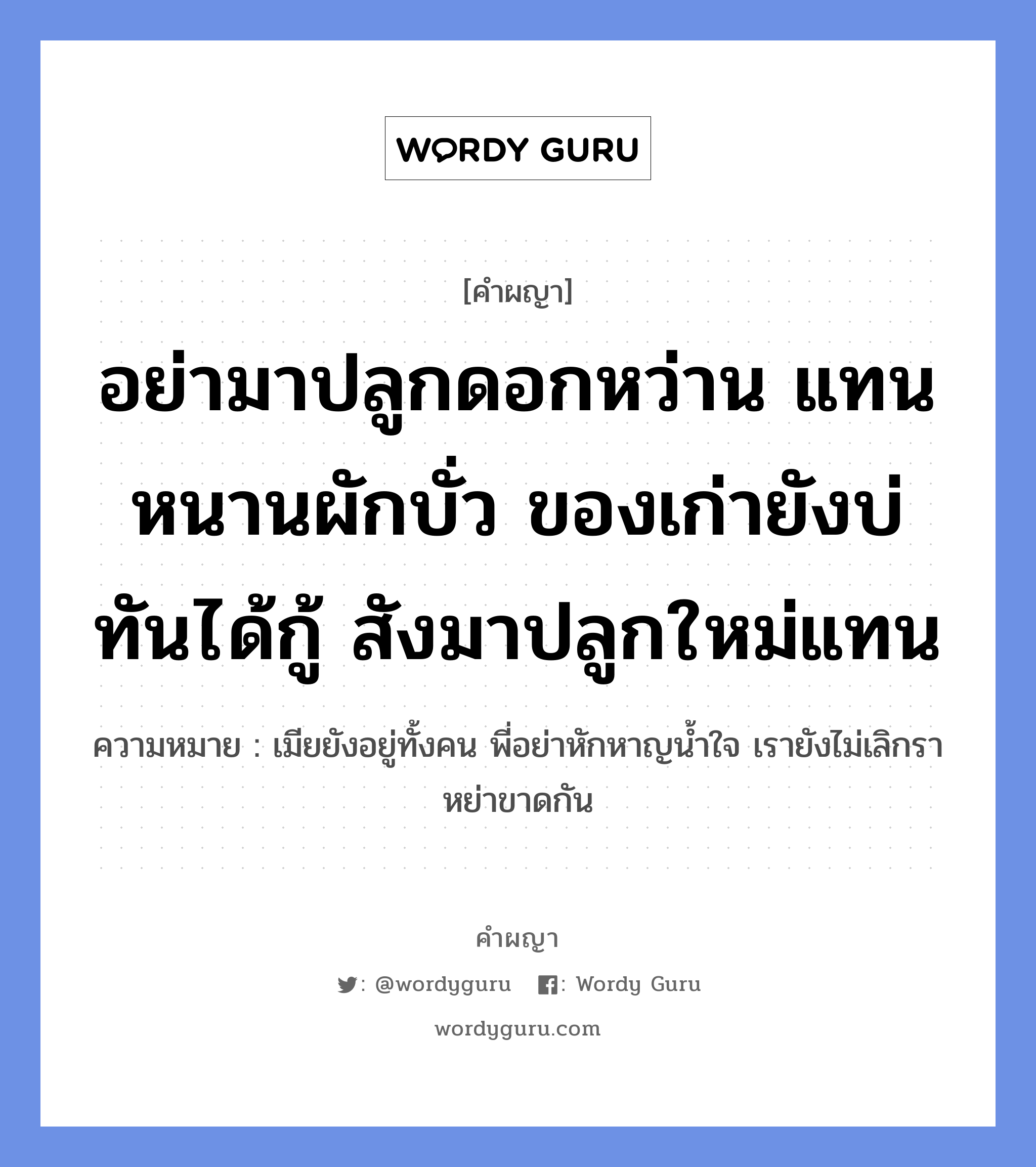 อย่ามาปลูกดอกหว่าน แทนหนานผักบั่ว ของเก่ายังบ่ทันได้กู้ สังมาปลูกใหม่แทน หมายถึงอะไร?, คำผญา อย่ามาปลูกดอกหว่าน แทนหนานผักบั่ว ของเก่ายังบ่ทันได้กู้ สังมาปลูกใหม่แทน ความหมาย เมียยังอยู่ทั้งคน พี่อย่าหักหาญน้ำใจ เรายังไม่เลิกราหย่าขาดกัน