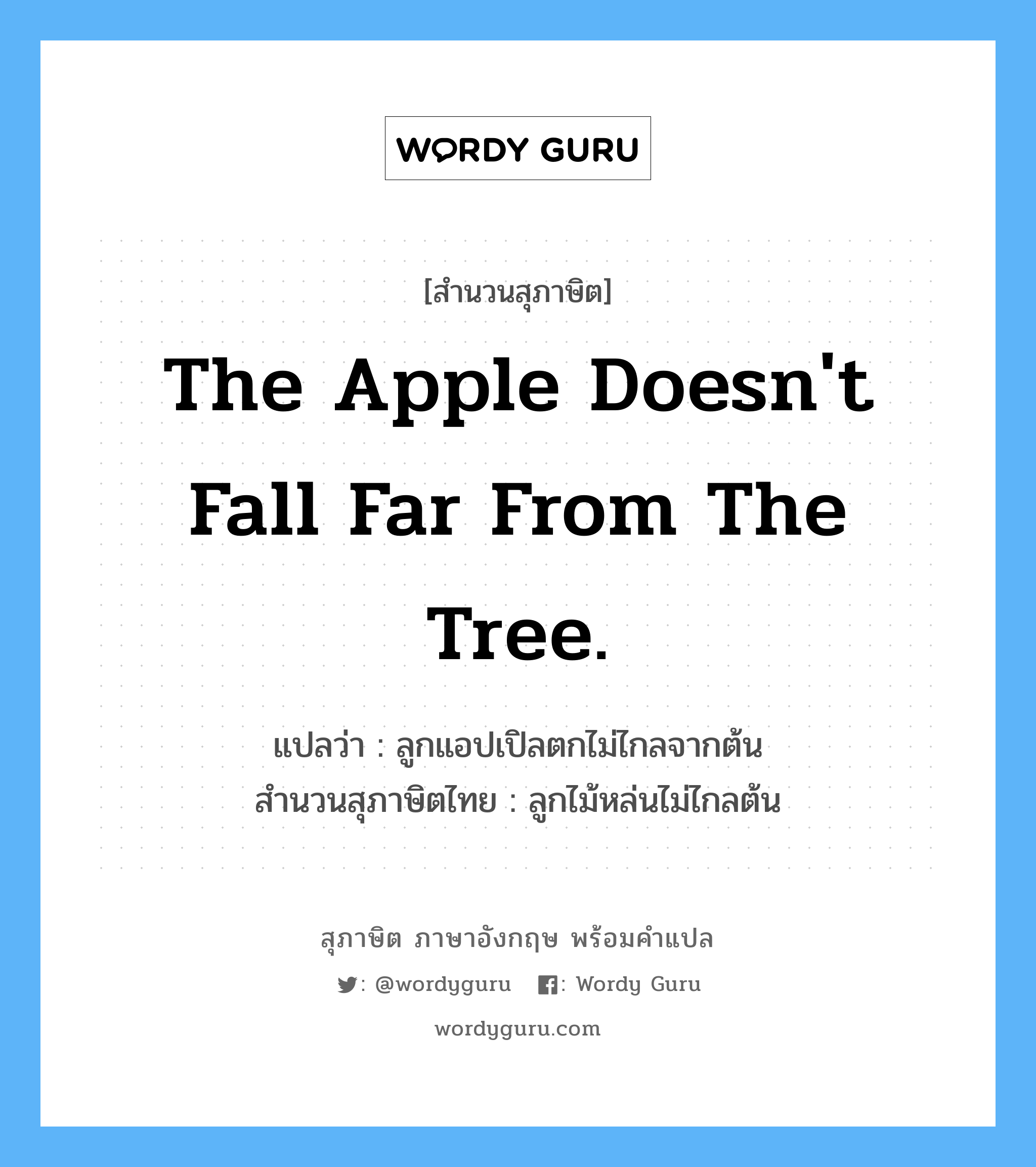 The apple doesn&#39;t fall far from the tree. แปลว่า?, สำนวนสุภาษิต ภาษาอังกฤษ The apple doesn&#39;t fall far from the tree. แปลว่า ลูกแอปเปิลตกไม่ไกลจากต้น สำนวนสุภาษิตไทย ลูกไม้หล่นไม่ไกลต้น