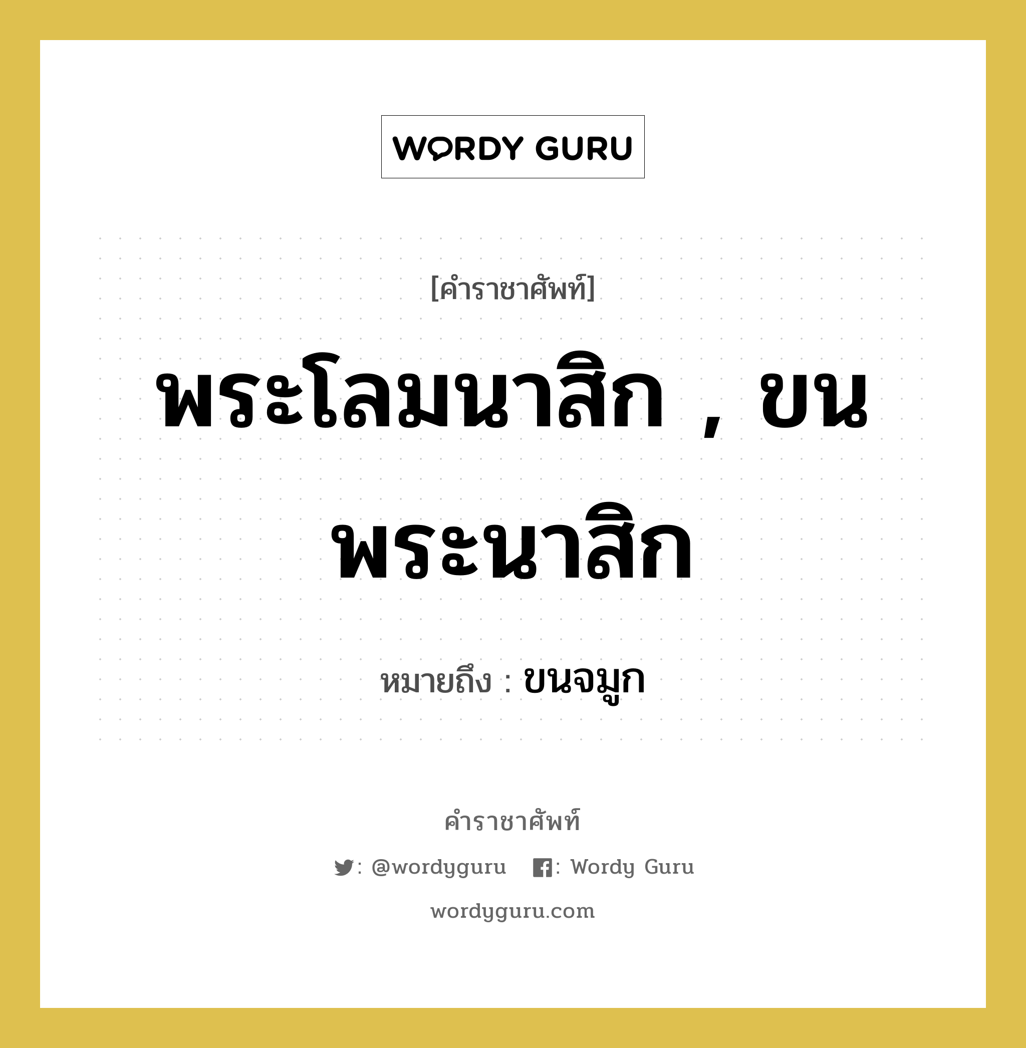 พระโลมนาสิก , ขนพระนาสิก หมายถึงอะไร?, คำราชาศัพท์ พระโลมนาสิก , ขนพระนาสิก หมายถึง ขนจมูก หมวดหมู่ ร่างกาย หมวด ร่างกาย