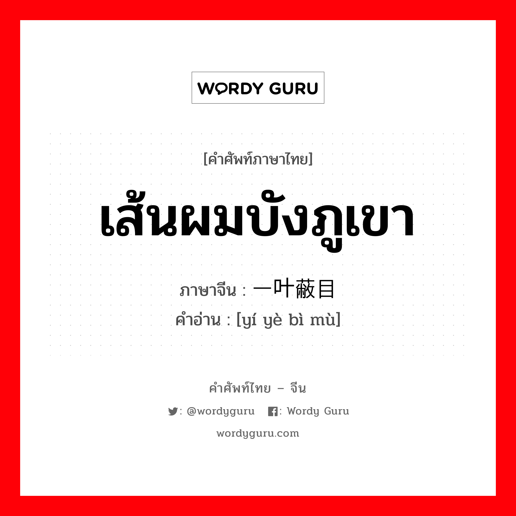 เส้นผมบังภูเขา ภาษาจีนคืออะไร, คำศัพท์ภาษาไทย - จีน เส้นผมบังภูเขา ภาษาจีน 一叶蔽目 คำอ่าน [yí yè bì mù]