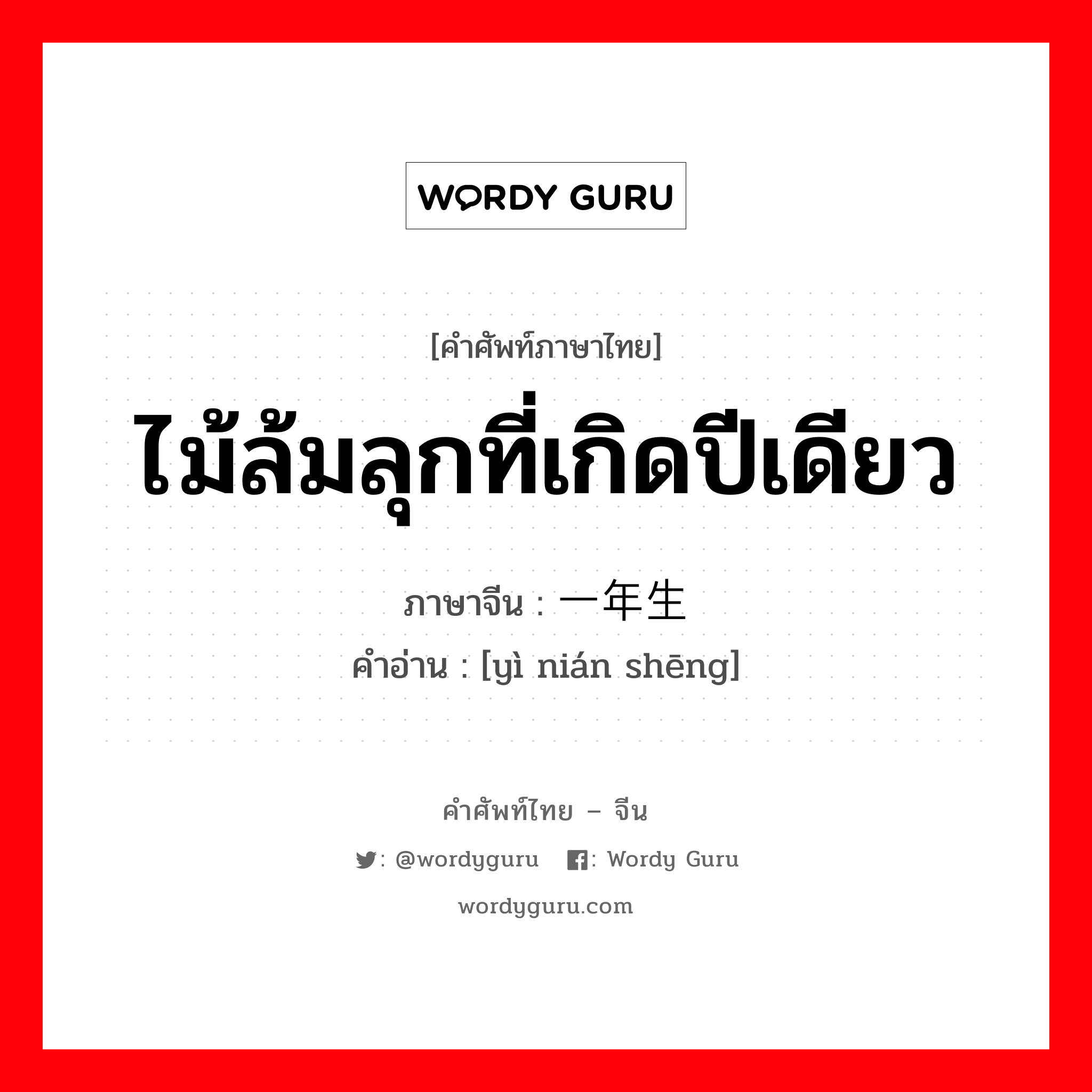 ไม้ล้มลุกที่เกิดปีเดียว ภาษาจีนคืออะไร, คำศัพท์ภาษาไทย - จีน ไม้ล้มลุกที่เกิดปีเดียว ภาษาจีน 一年生 คำอ่าน [yì nián shēng]