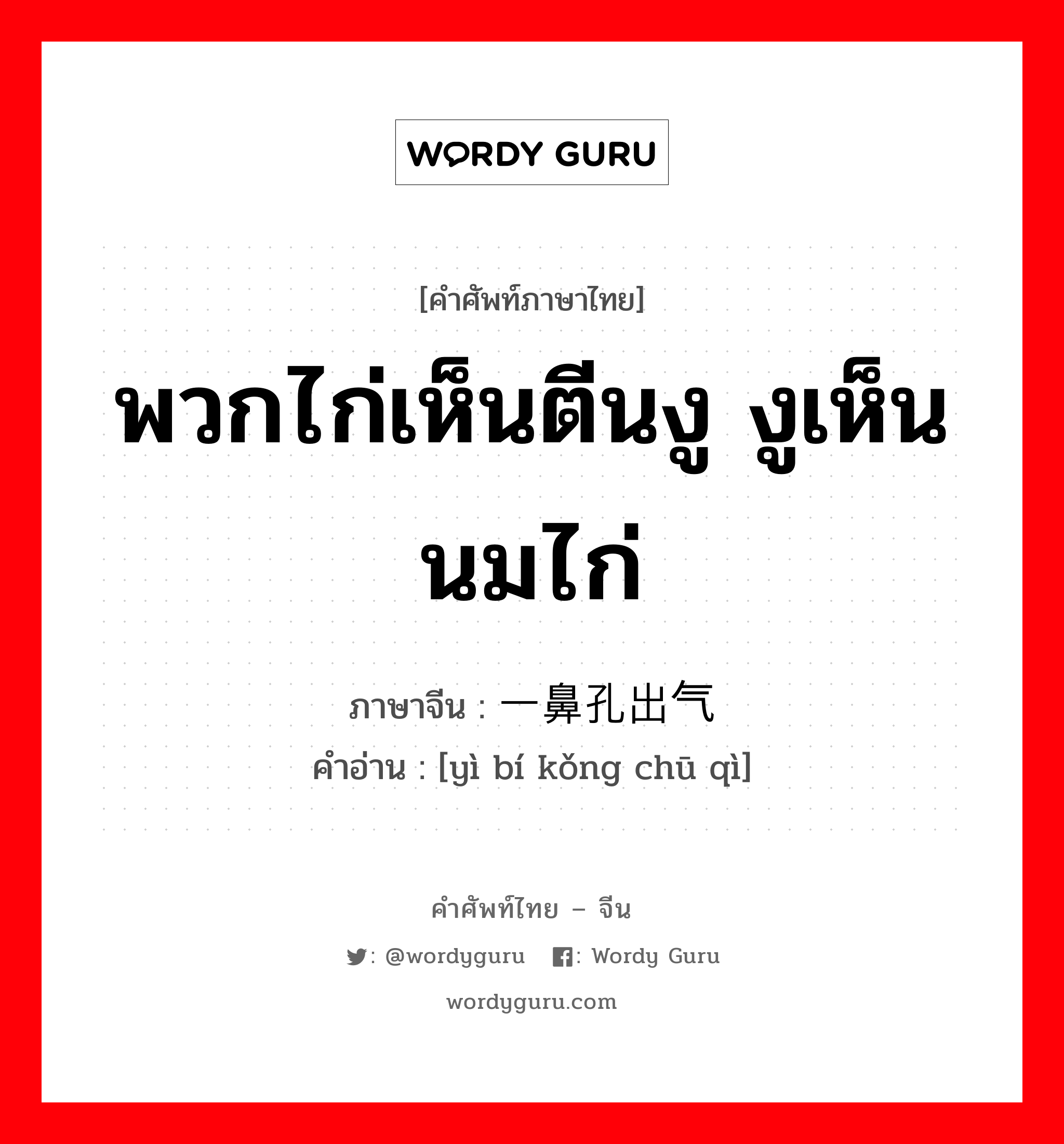 พวกไก่เห็นตีนงู งูเห็นนมไก่ ภาษาจีนคืออะไร, คำศัพท์ภาษาไทย - จีน พวกไก่เห็นตีนงู งูเห็นนมไก่ ภาษาจีน 一鼻孔出气 คำอ่าน [yì bí kǒng chū qì]