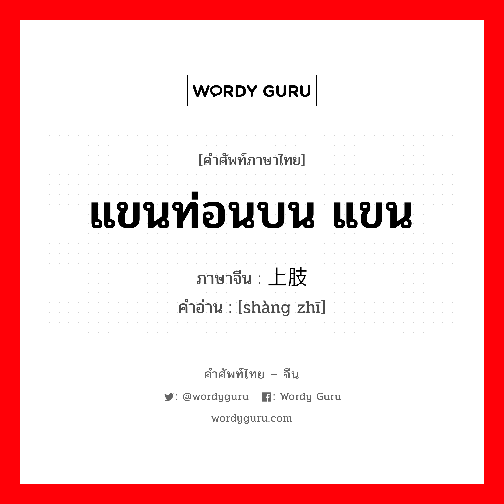 แขนท่อนบน แขน ภาษาจีนคืออะไร, คำศัพท์ภาษาไทย - จีน แขนท่อนบน แขน ภาษาจีน 上肢 คำอ่าน [shàng zhī]