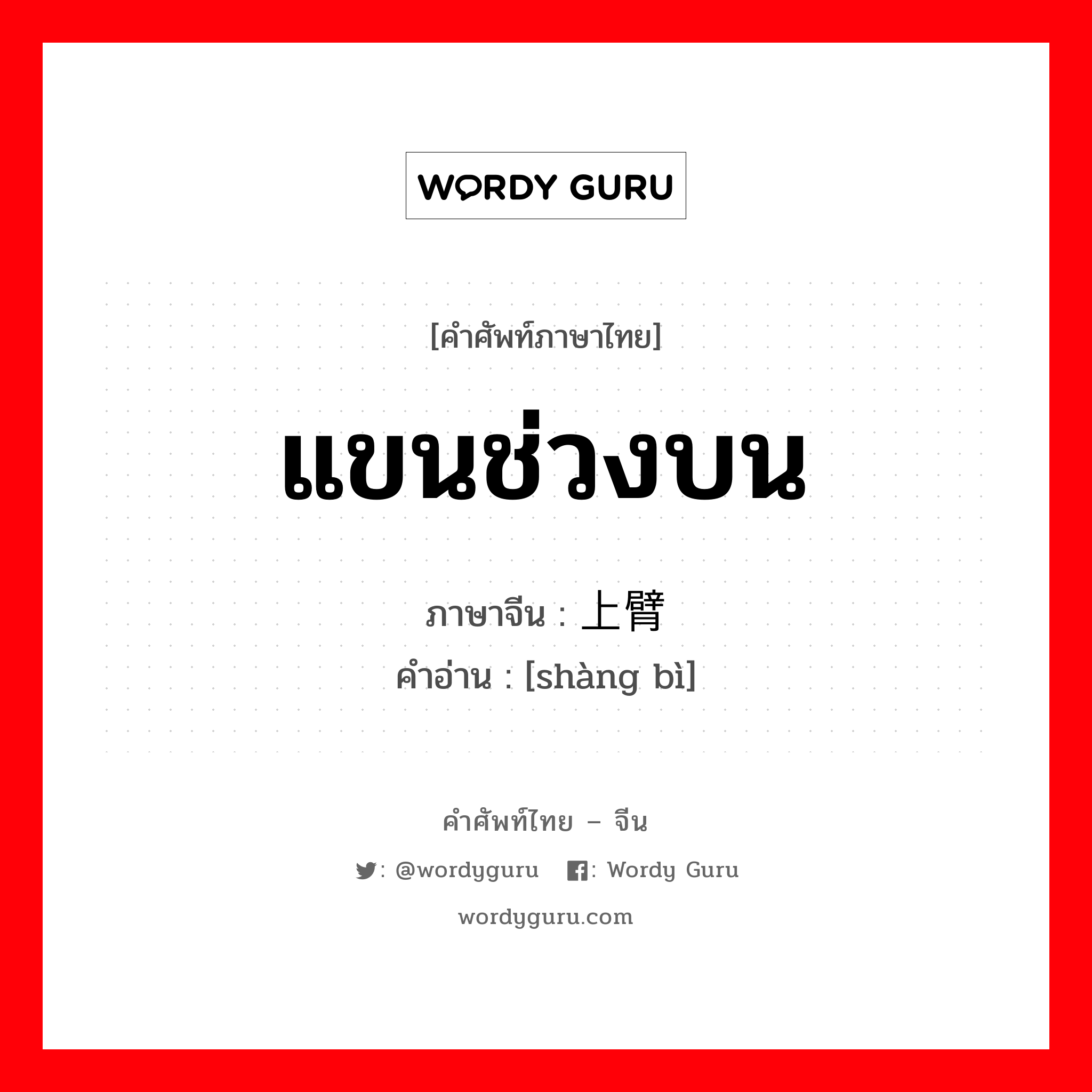 แขนช่วงบน ภาษาจีนคืออะไร, คำศัพท์ภาษาไทย - จีน แขนช่วงบน ภาษาจีน 上臂 คำอ่าน [shàng bì]