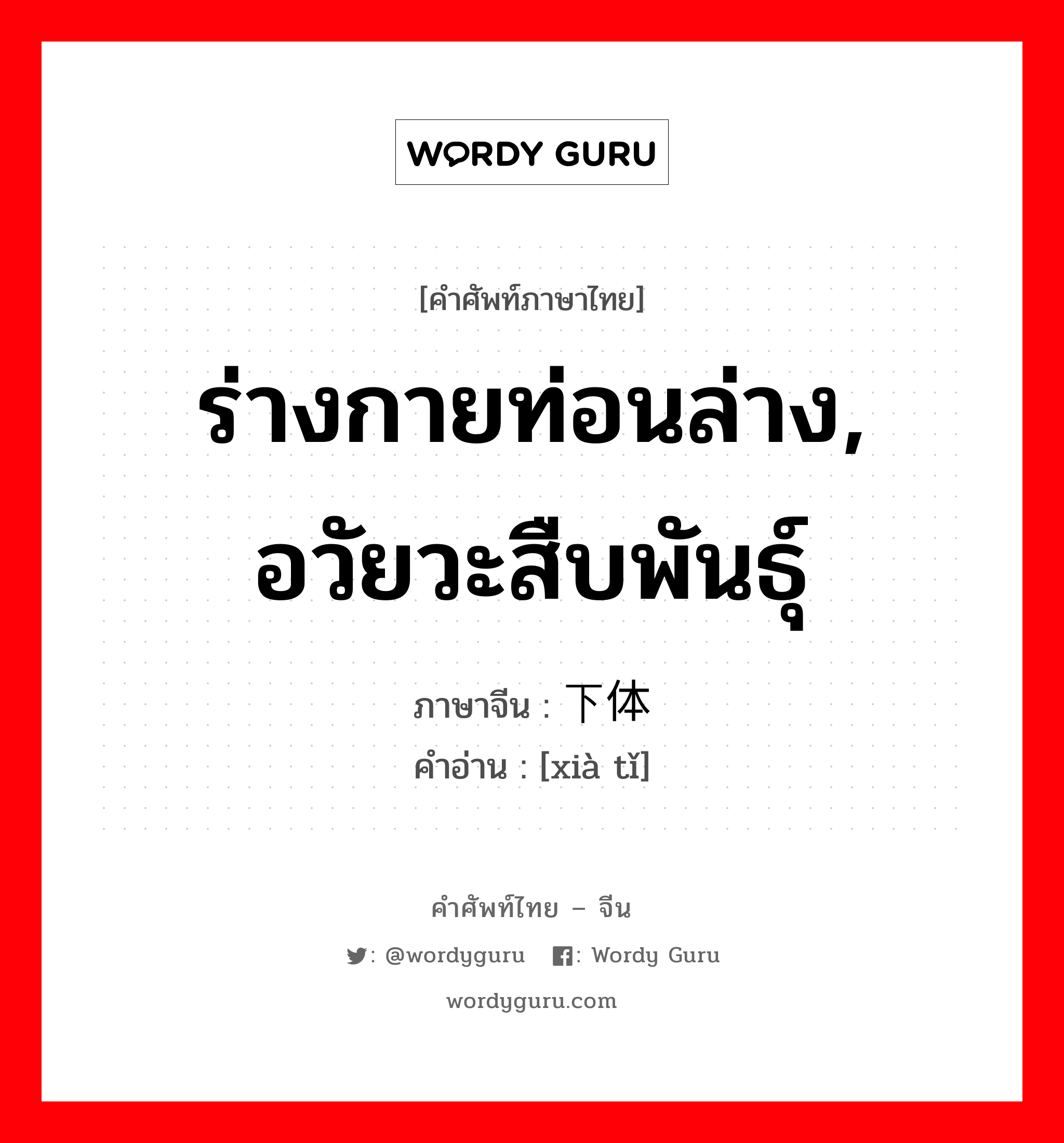 ร่างกายท่อนล่าง, อวัยวะสืบพันธุ์ ภาษาจีนคืออะไร, คำศัพท์ภาษาไทย - จีน ร่างกายท่อนล่าง, อวัยวะสืบพันธุ์ ภาษาจีน 下体 คำอ่าน [xià tǐ]