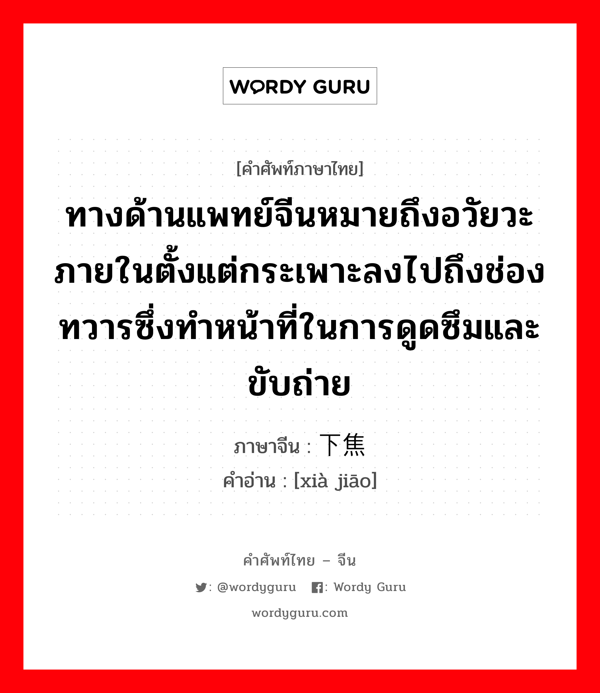 ทางด้านแพทย์จีนหมายถึงอวัยวะภายในตั้งแต่กระเพาะลงไปถึงช่องทวารซึ่งทำหน้าที่ในการดูดซึมและขับถ่าย ภาษาจีนคืออะไร, คำศัพท์ภาษาไทย - จีน ทางด้านแพทย์จีนหมายถึงอวัยวะภายในตั้งแต่กระเพาะลงไปถึงช่องทวารซึ่งทำหน้าที่ในการดูดซึมและขับถ่าย ภาษาจีน 下焦 คำอ่าน [xià jiāo]