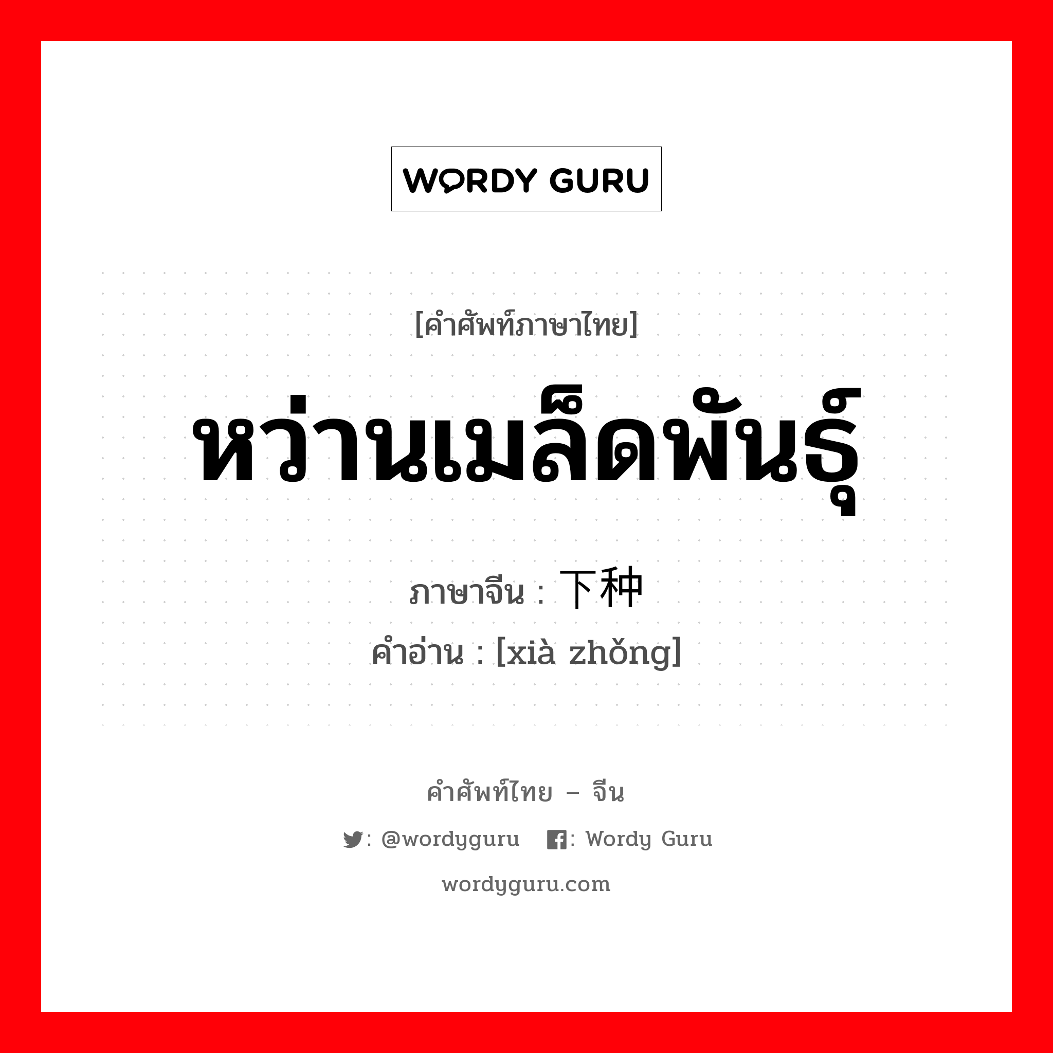 หว่านเมล็ดพันธุ์ ภาษาจีนคืออะไร, คำศัพท์ภาษาไทย - จีน หว่านเมล็ดพันธุ์ ภาษาจีน 下种 คำอ่าน [xià zhǒng]