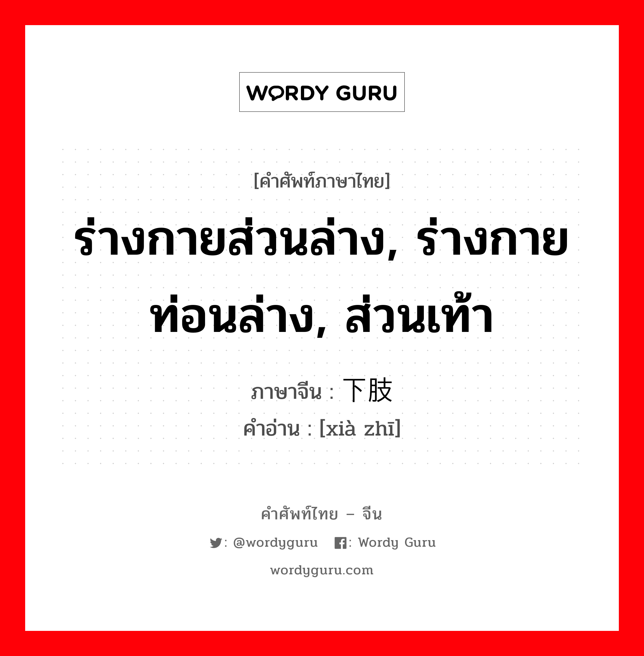 ร่างกายส่วนล่าง, ร่างกายท่อนล่าง, ส่วนเท้า ภาษาจีนคืออะไร, คำศัพท์ภาษาไทย - จีน ร่างกายส่วนล่าง, ร่างกายท่อนล่าง, ส่วนเท้า ภาษาจีน 下肢 คำอ่าน [xià zhī]