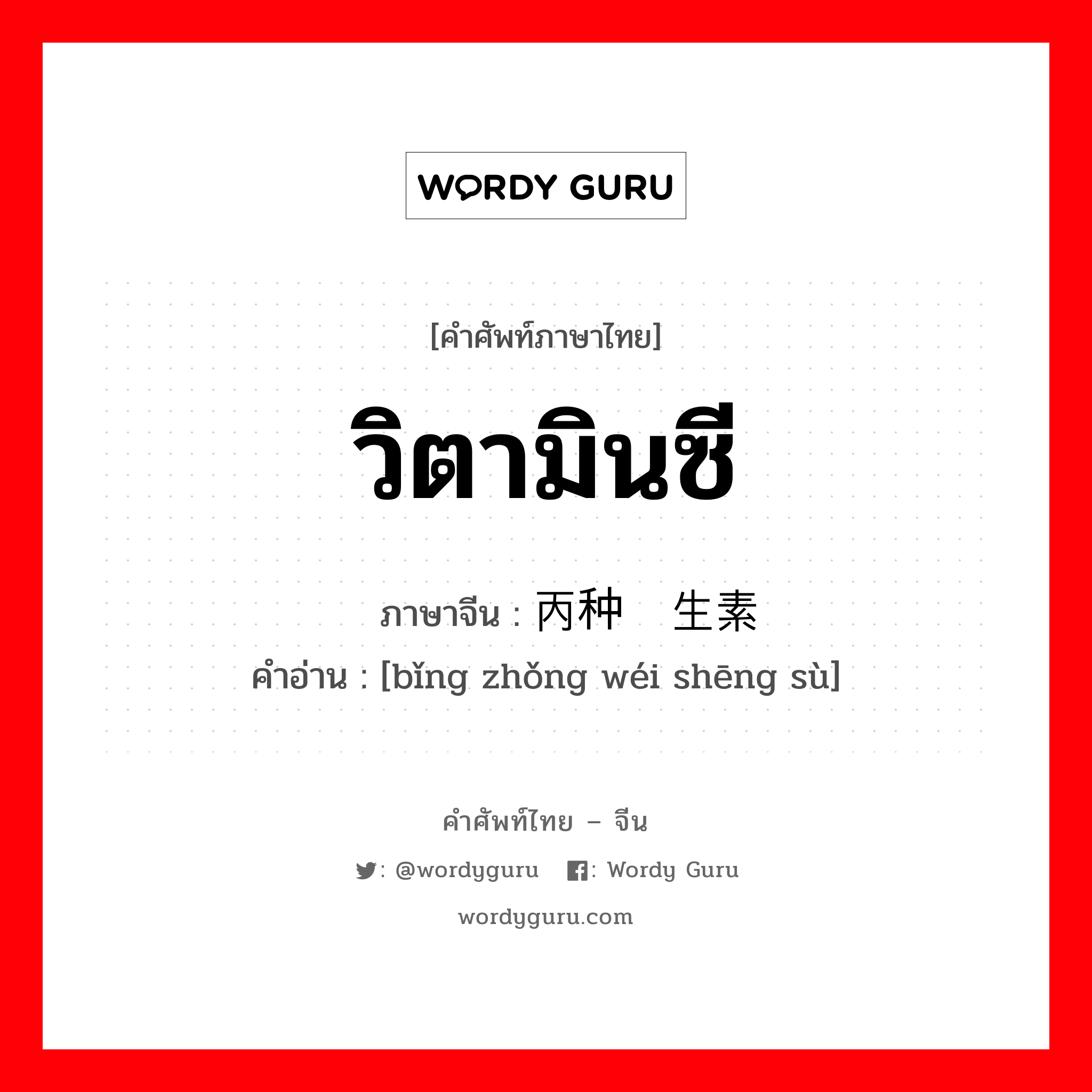 วิตามินซี ภาษาจีนคืออะไร, คำศัพท์ภาษาไทย - จีน วิตามินซี ภาษาจีน 丙种维生素 คำอ่าน [bǐng zhǒng wéi shēng sù]