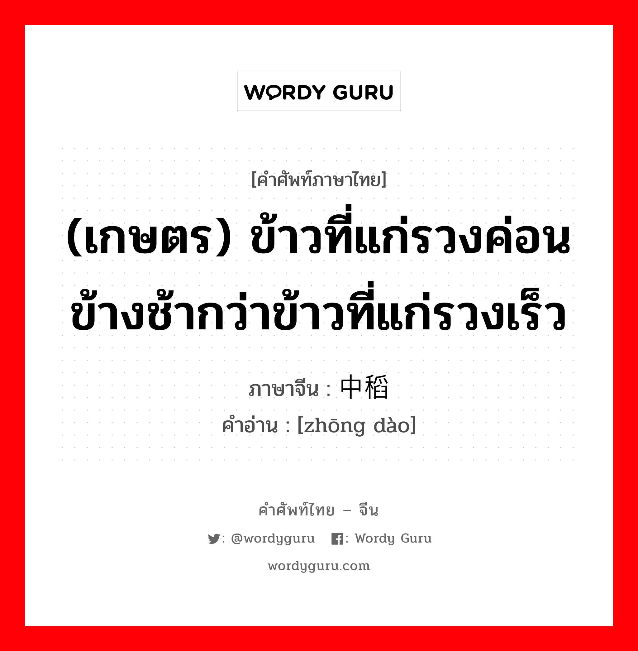 เกษตร ภาษาจีนคืออะไร, คำศัพท์ภาษาไทย - จีน (เกษตร) ข้าวที่แก่รวงค่อนข้างช้ากว่าข้าวที่แก่รวงเร็ว ภาษาจีน 中稻 คำอ่าน [zhōng dào]