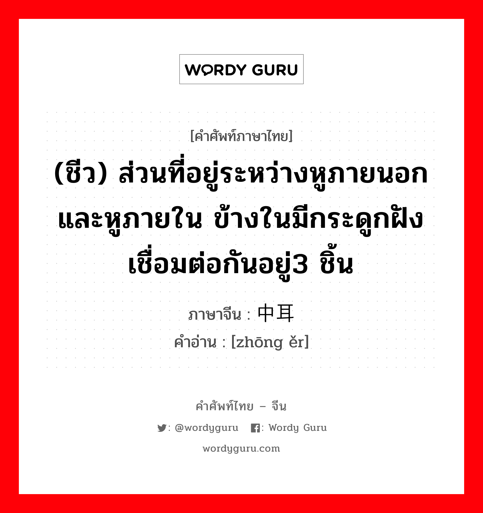 (ชีว) ส่วนที่อยู่ระหว่างหูภายนอกและหูภายใน ข้างในมีกระดูกฝังเชื่อมต่อกันอยู่3 ชิ้น ภาษาจีนคืออะไร, คำศัพท์ภาษาไทย - จีน (ชีว) ส่วนที่อยู่ระหว่างหูภายนอกและหูภายใน ข้างในมีกระดูกฝังเชื่อมต่อกันอยู่3 ชิ้น ภาษาจีน 中耳 คำอ่าน [zhōng ěr]