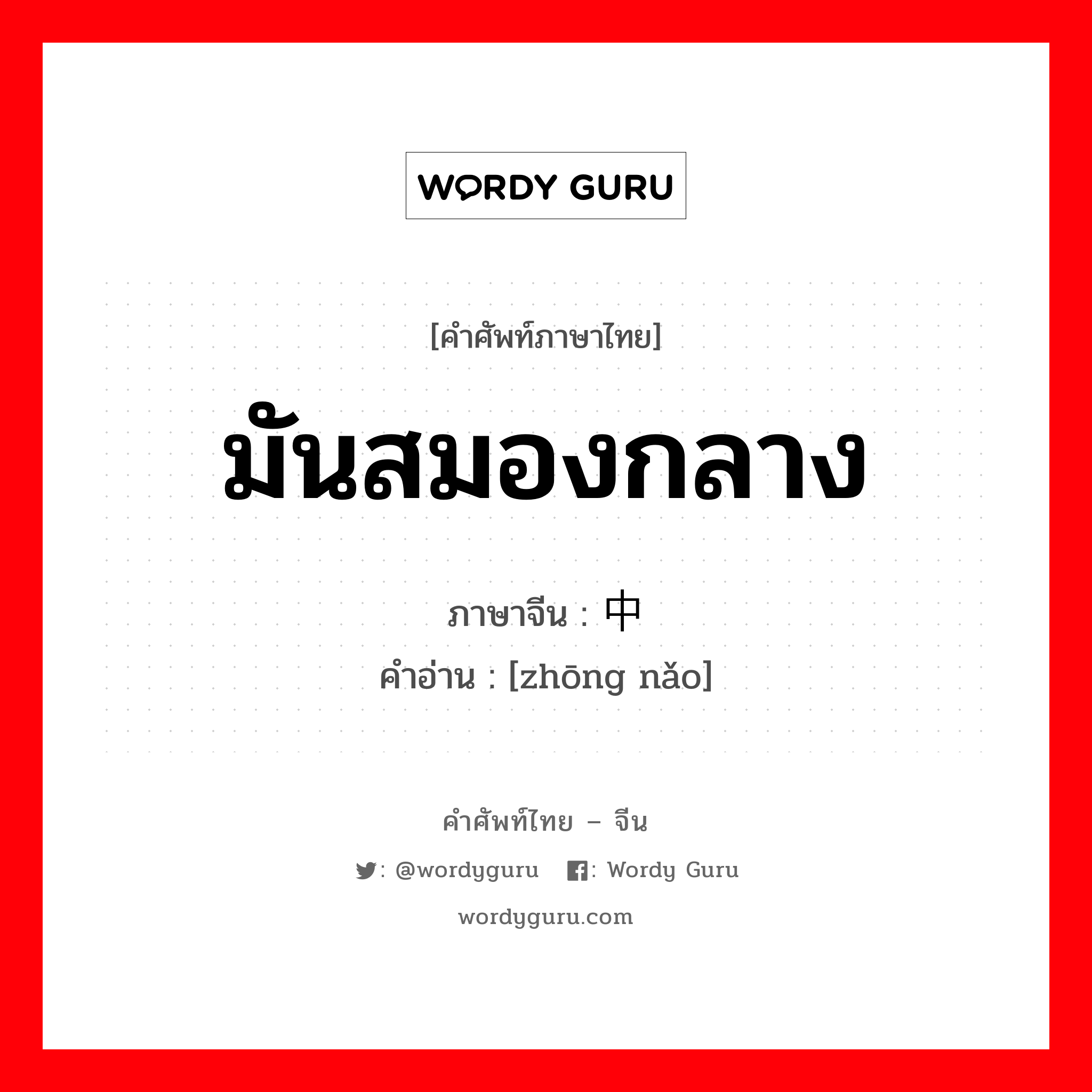 มันสมองกลาง ภาษาจีนคืออะไร, คำศัพท์ภาษาไทย - จีน มันสมองกลาง ภาษาจีน 中脑 คำอ่าน [zhōng nǎo]