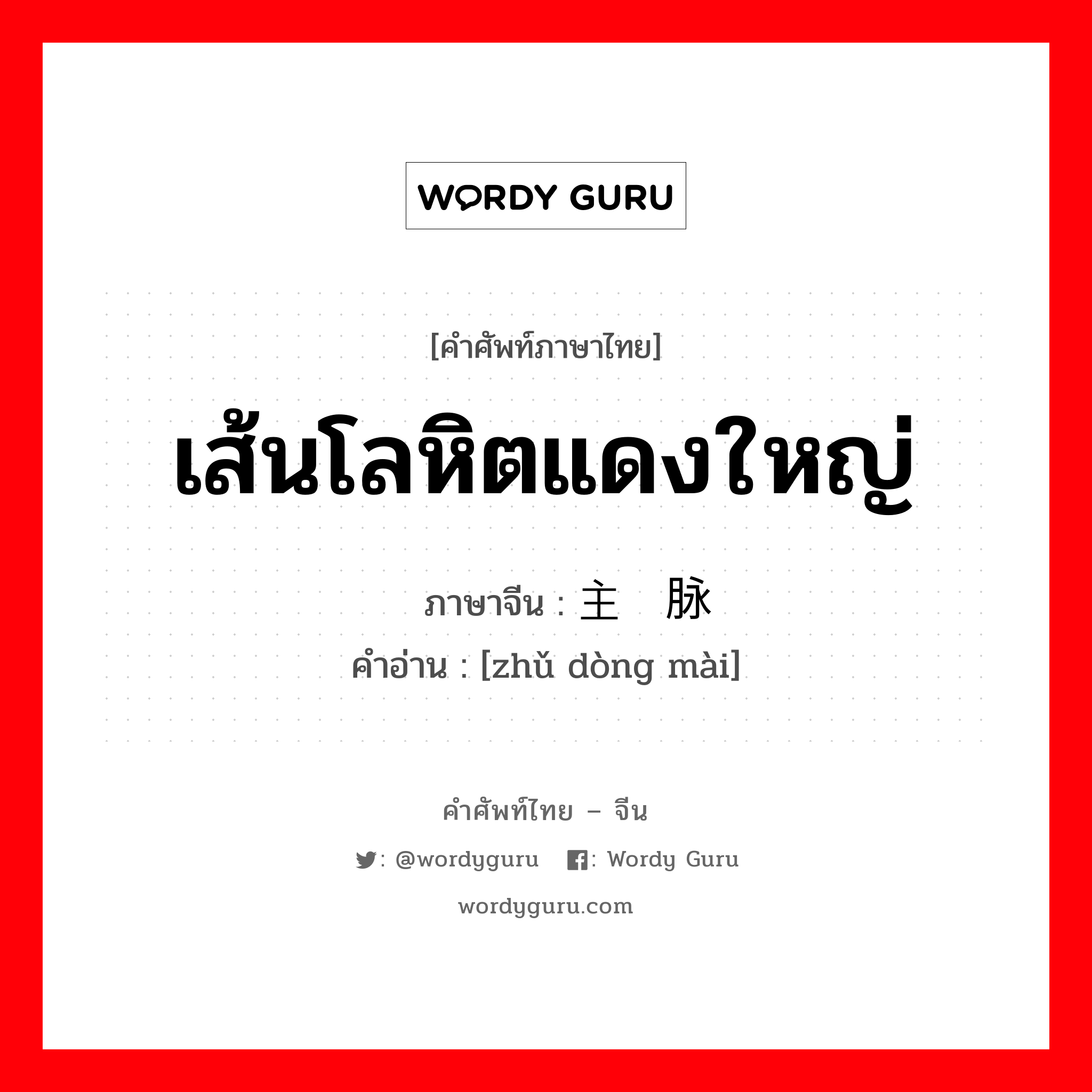 เส้นโลหิตแดงใหญ่ ภาษาจีนคืออะไร, คำศัพท์ภาษาไทย - จีน เส้นโลหิตแดงใหญ่ ภาษาจีน 主动脉 คำอ่าน [zhǔ dòng mài]