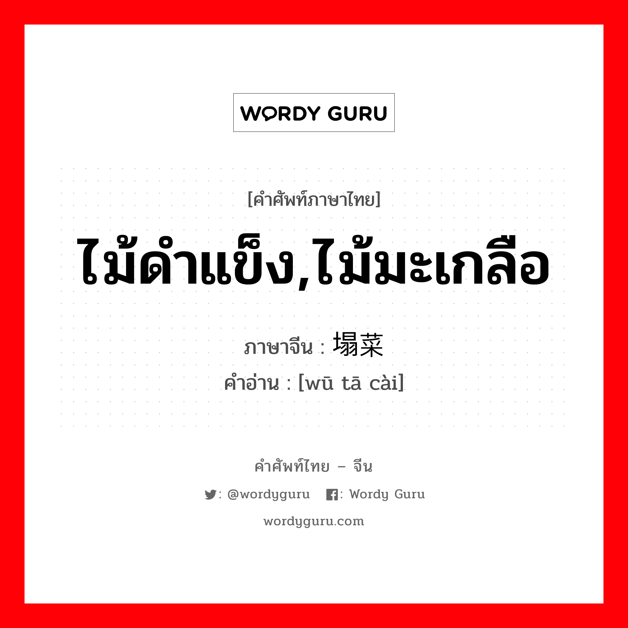 ไม้ดำแข็ง,ไม้มะเกลือ ภาษาจีนคืออะไร, คำศัพท์ภาษาไทย - จีน ไม้ดำแข็ง,ไม้มะเกลือ ภาษาจีน 乌塌菜 คำอ่าน [wū tā cài]