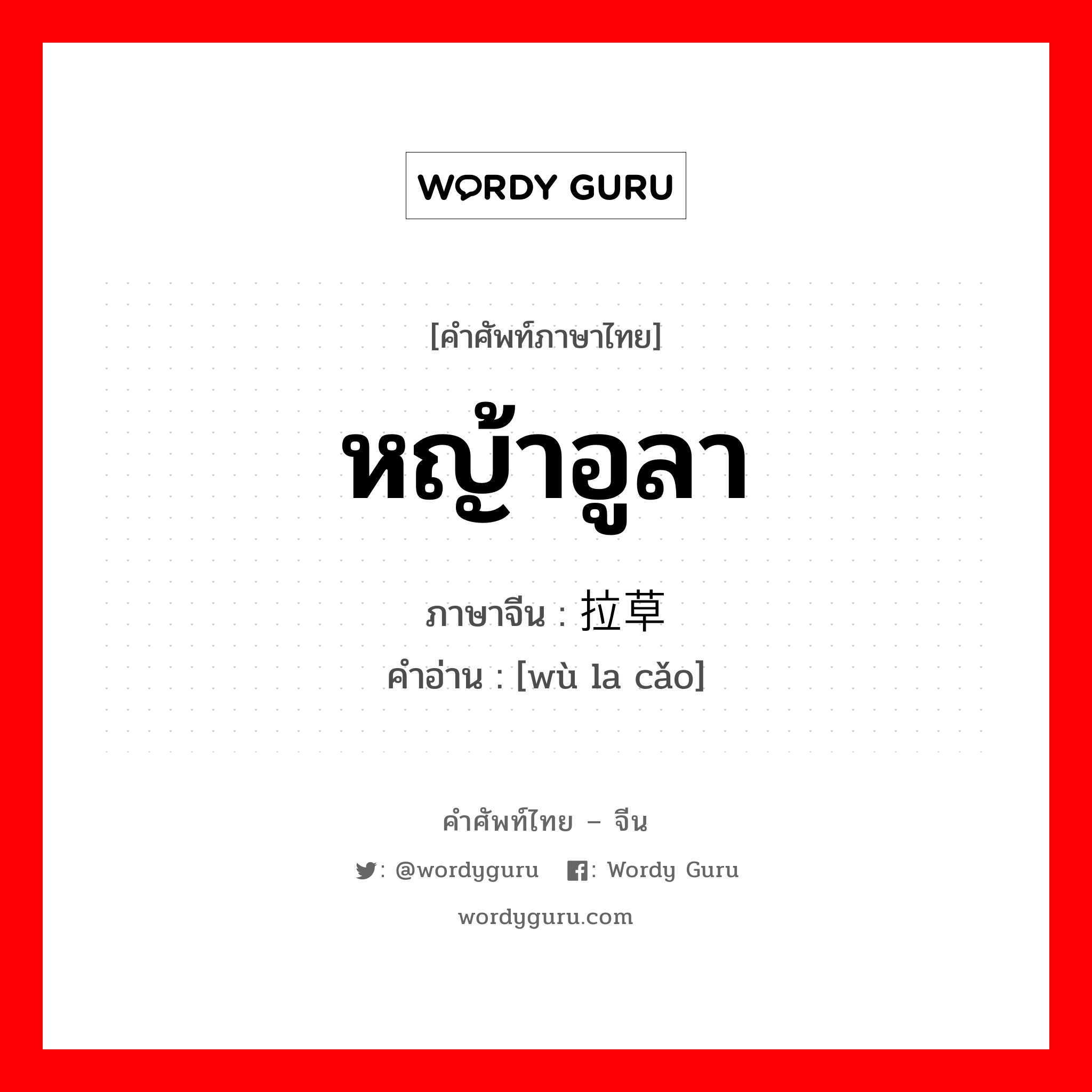 หญ้าอูลา ภาษาจีนคืออะไร, คำศัพท์ภาษาไทย - จีน หญ้าอูลา ภาษาจีน 乌拉草 คำอ่าน [wù la cǎo]