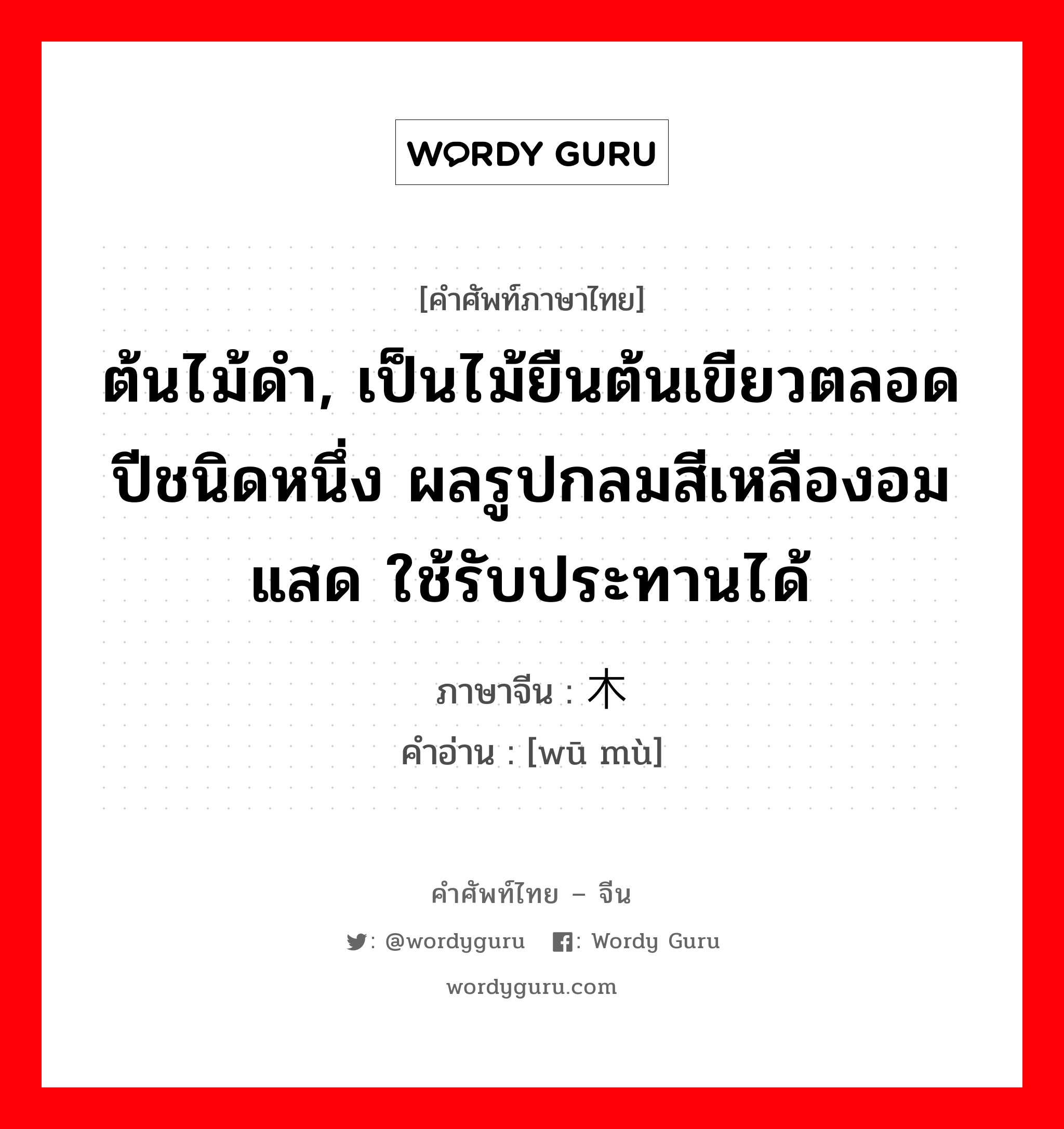 ต้นไม้ดำ, เป็นไม้ยืนต้นเขียวตลอดปีชนิดหนึ่ง ผลรูปกลมสีเหลืองอมแสด ใช้รับประทานได้ ภาษาจีนคืออะไร, คำศัพท์ภาษาไทย - จีน ต้นไม้ดำ, เป็นไม้ยืนต้นเขียวตลอดปีชนิดหนึ่ง ผลรูปกลมสีเหลืองอมแสด ใช้รับประทานได้ ภาษาจีน 乌木 คำอ่าน [wū mù]