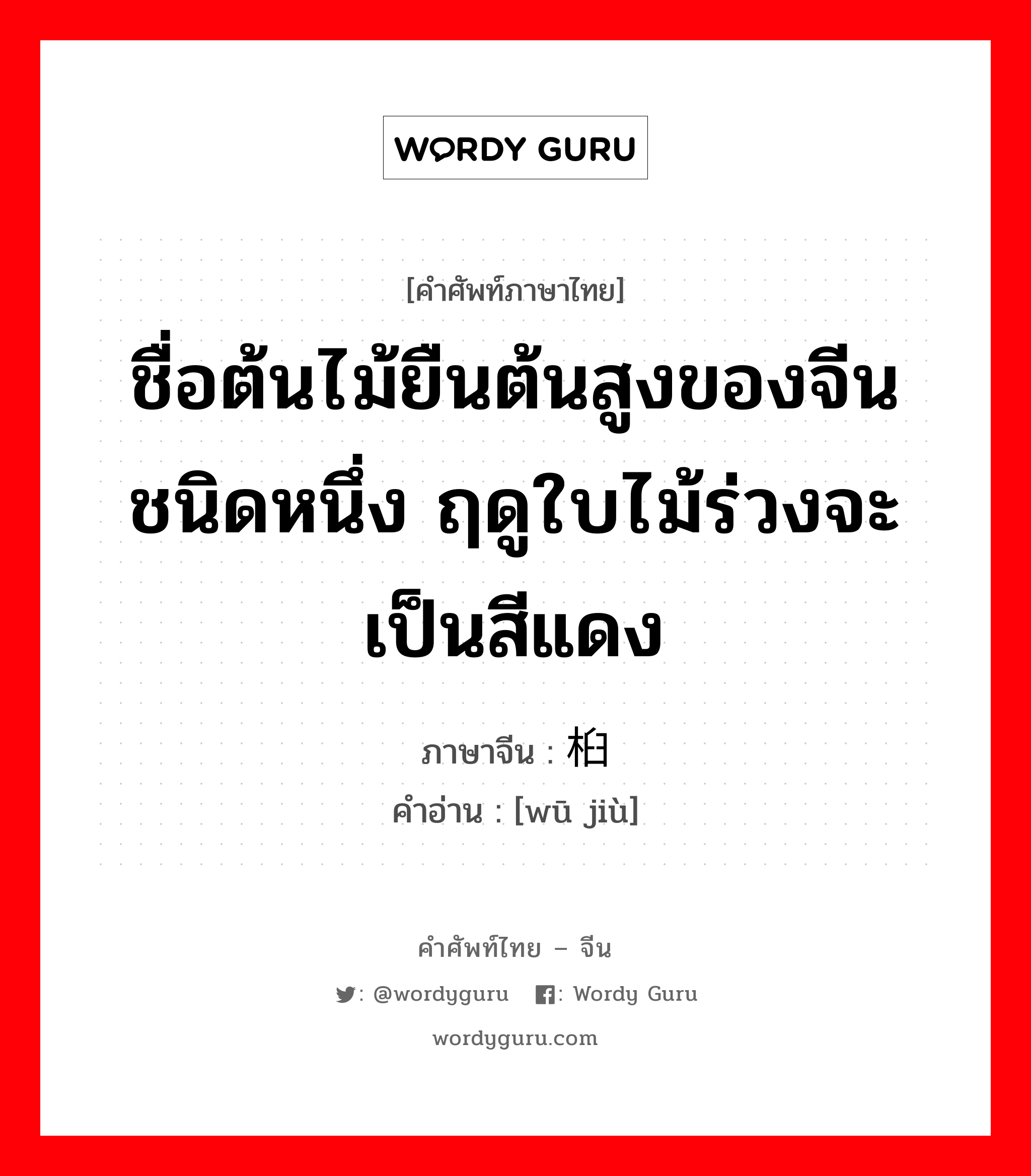 ชื่อต้นไม้ยืนต้นสูงของจีนชนิดหนึ่ง ฤดูใบไม้ร่วงจะเป็นสีแดง ภาษาจีนคืออะไร, คำศัพท์ภาษาไทย - จีน ชื่อต้นไม้ยืนต้นสูงของจีนชนิดหนึ่ง ฤดูใบไม้ร่วงจะเป็นสีแดง ภาษาจีน 乌桕 คำอ่าน [wū jiù]