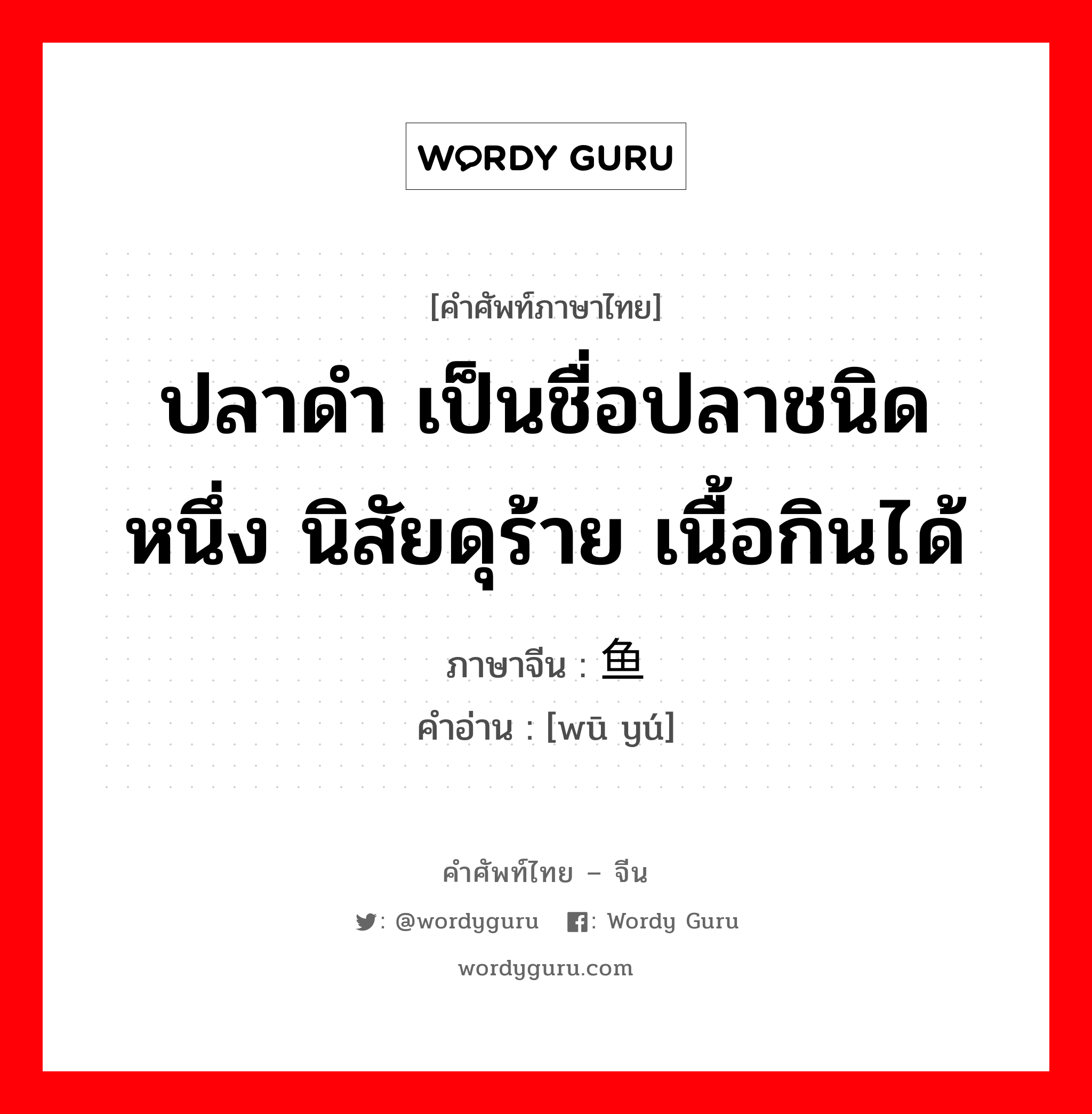 ปลาดำ เป็นชื่อปลาชนิดหนึ่ง นิสัยดุร้าย เนื้อกินได้ ภาษาจีนคืออะไร, คำศัพท์ภาษาไทย - จีน ปลาดำ เป็นชื่อปลาชนิดหนึ่ง นิสัยดุร้าย เนื้อกินได้ ภาษาจีน 乌鱼 คำอ่าน [wū yú]