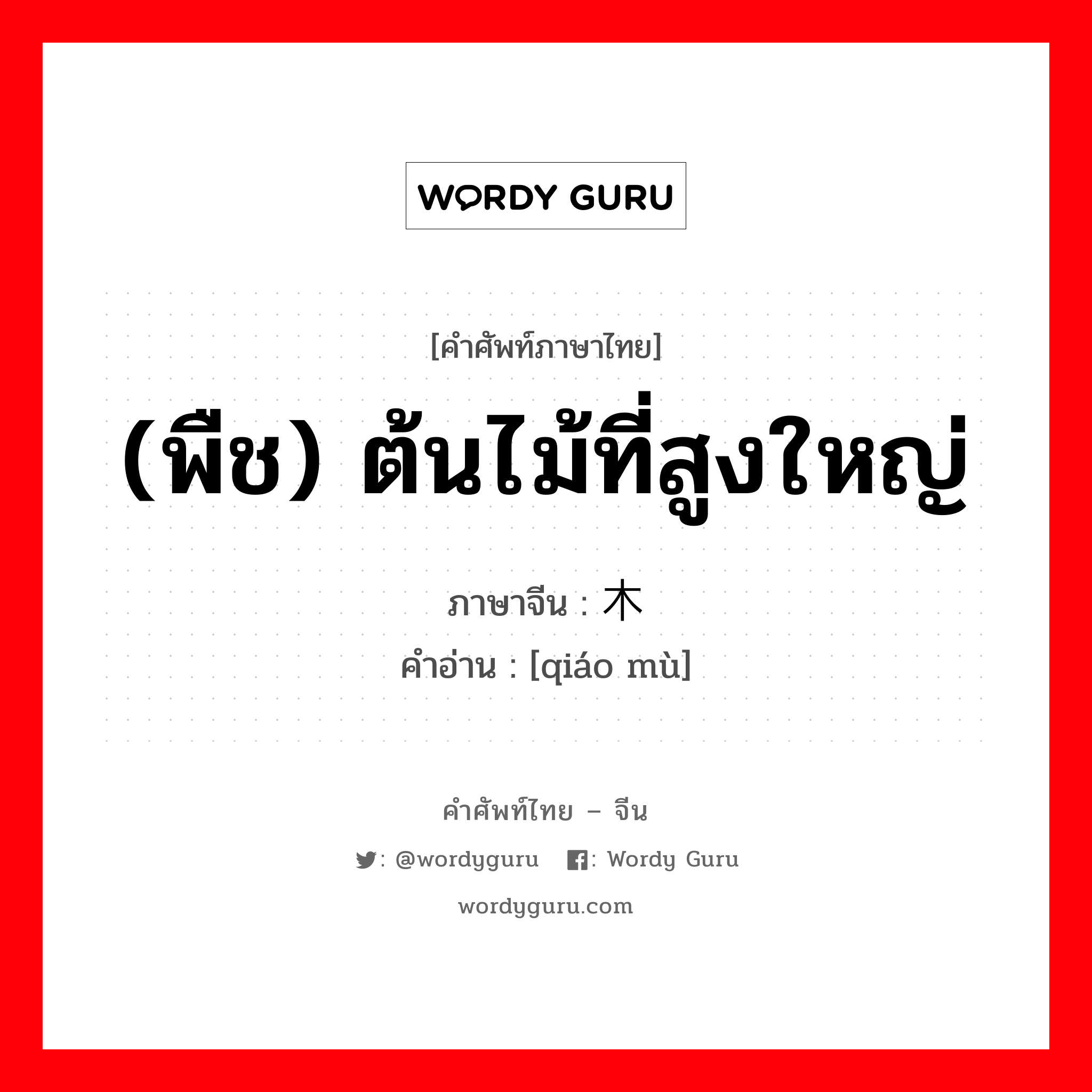 (พืช) ต้นไม้ที่สูงใหญ่ ภาษาจีนคืออะไร, คำศัพท์ภาษาไทย - จีน (พืช) ต้นไม้ที่สูงใหญ่ ภาษาจีน 乔木 คำอ่าน [qiáo mù]