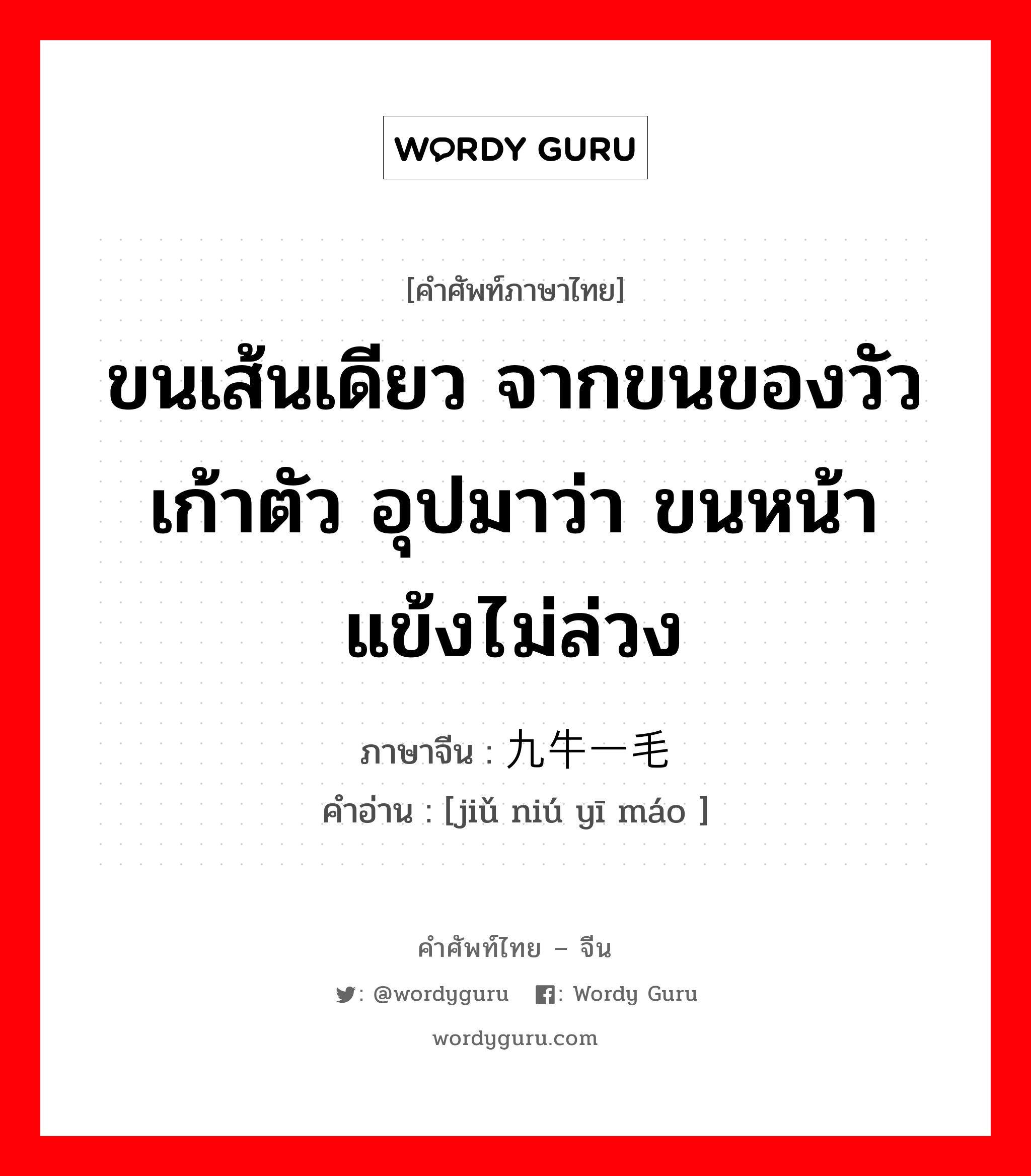 ขนเส้นเดียว จากขนของวัวเก้าตัว อุปมาว่า ขนหน้าแข้งไม่ล่วง ภาษาจีนคืออะไร, คำศัพท์ภาษาไทย - จีน ขนเส้นเดียว จากขนของวัวเก้าตัว อุปมาว่า ขนหน้าแข้งไม่ล่วง ภาษาจีน 九牛一毛 คำอ่าน [jiǔ niú yī máo ]