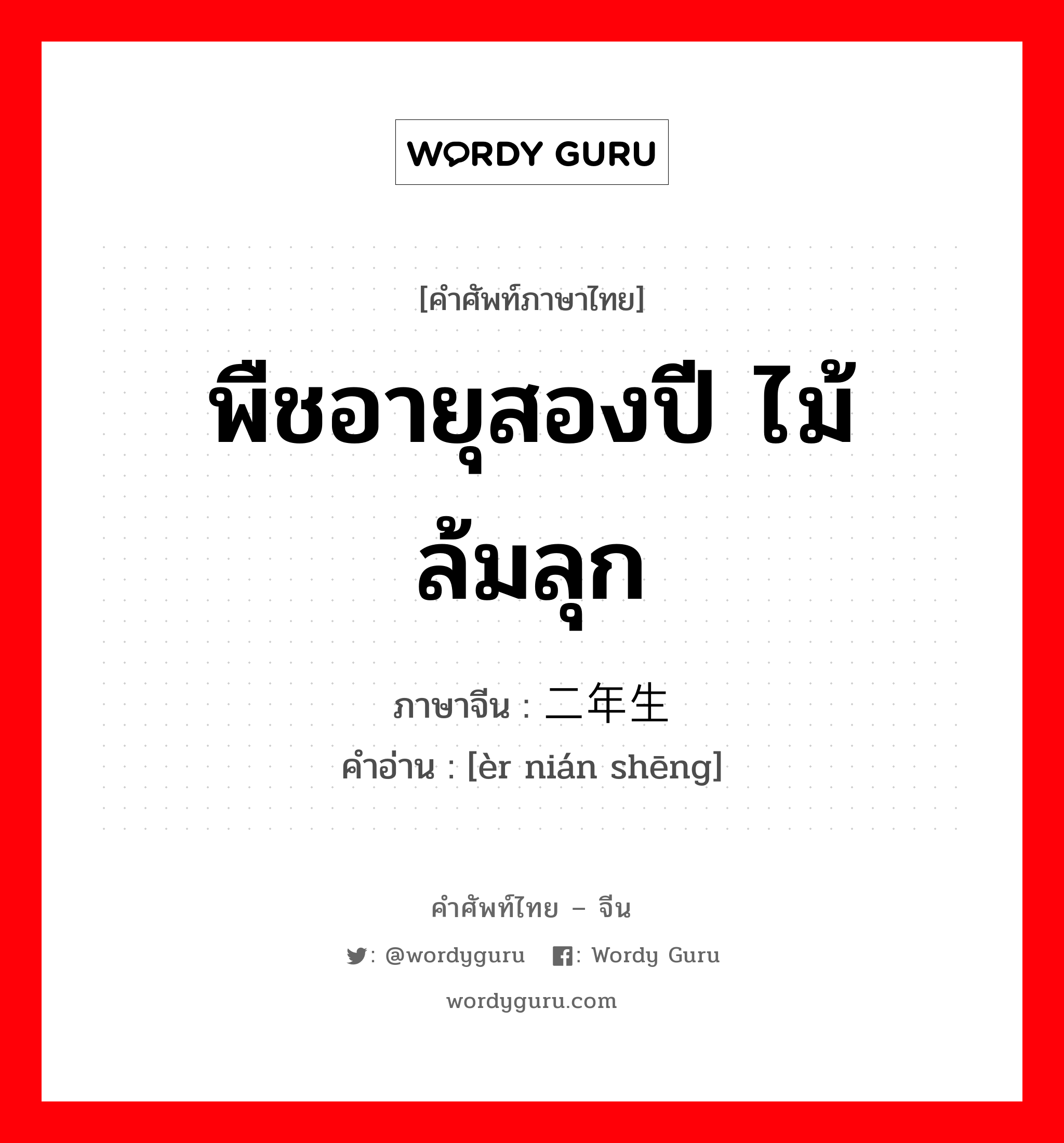 พืชอายุสองปี ไม้ล้มลุก ภาษาจีนคืออะไร, คำศัพท์ภาษาไทย - จีน พืชอายุสองปี ไม้ล้มลุก ภาษาจีน 二年生 คำอ่าน [èr nián shēng]