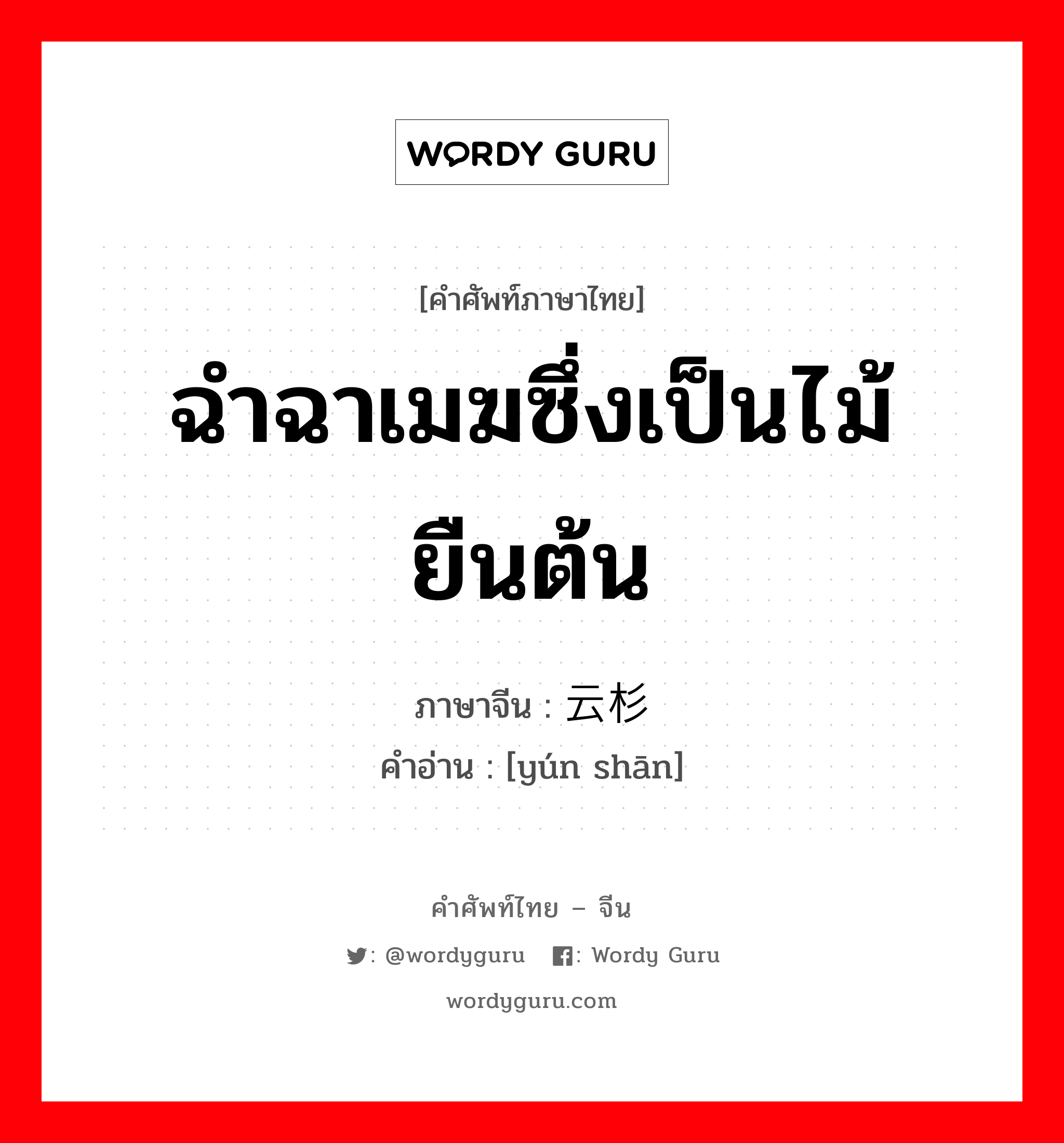 ฉำฉาเมฆซึ่งเป็นไม้ยืนต้น ภาษาจีนคืออะไร, คำศัพท์ภาษาไทย - จีน ฉำฉาเมฆซึ่งเป็นไม้ยืนต้น ภาษาจีน 云杉 คำอ่าน [yún shān]