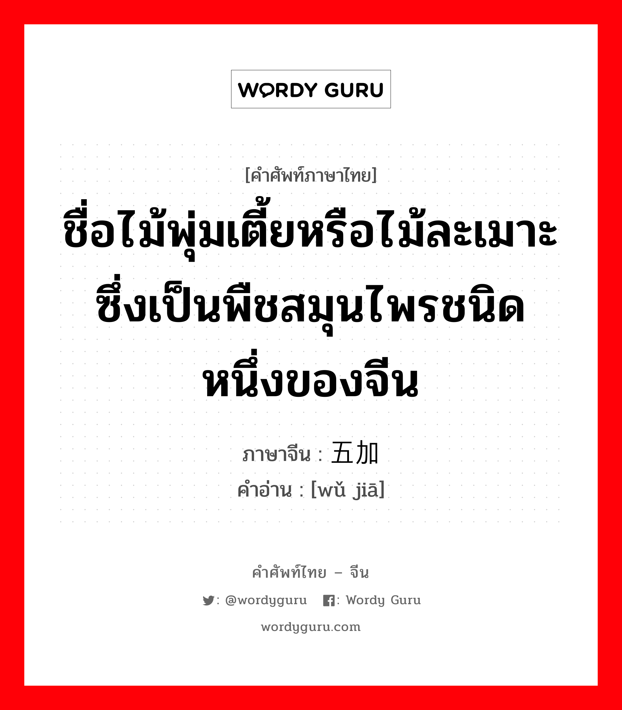 ชื่อไม้พุ่มเตี้ยหรือไม้ละเมาะ ซึ่งเป็นพืชสมุนไพรชนิดหนึ่งของจีน ภาษาจีนคืออะไร, คำศัพท์ภาษาไทย - จีน ชื่อไม้พุ่มเตี้ยหรือไม้ละเมาะ ซึ่งเป็นพืชสมุนไพรชนิดหนึ่งของจีน ภาษาจีน 五加 คำอ่าน [wǔ jiā]