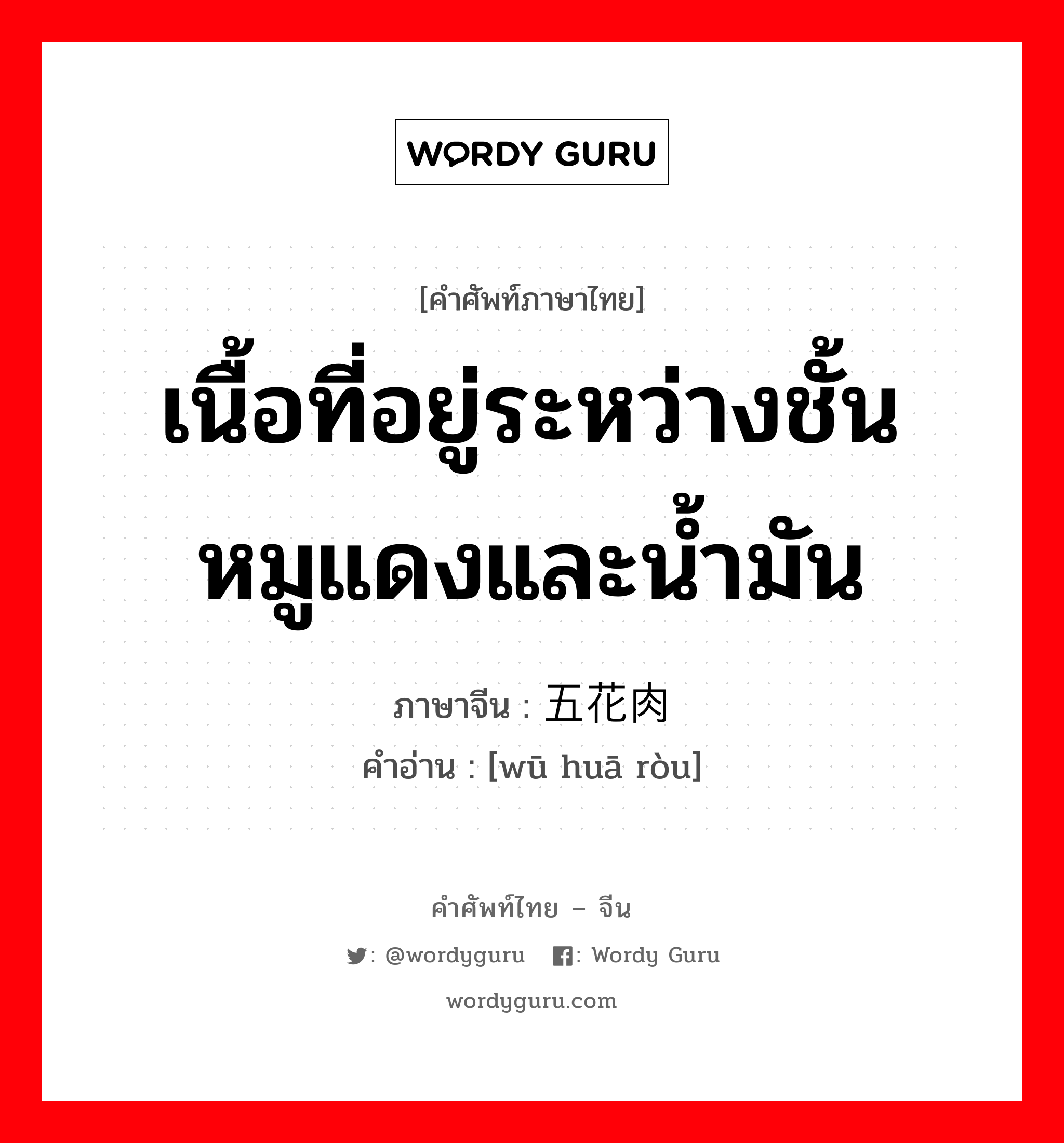 เนื้อที่อยู่ระหว่างชั้นหมูแดงและน้ำมัน ภาษาจีนคืออะไร, คำศัพท์ภาษาไทย - จีน เนื้อที่อยู่ระหว่างชั้นหมูแดงและน้ำมัน ภาษาจีน 五花肉 คำอ่าน [wū huā ròu]