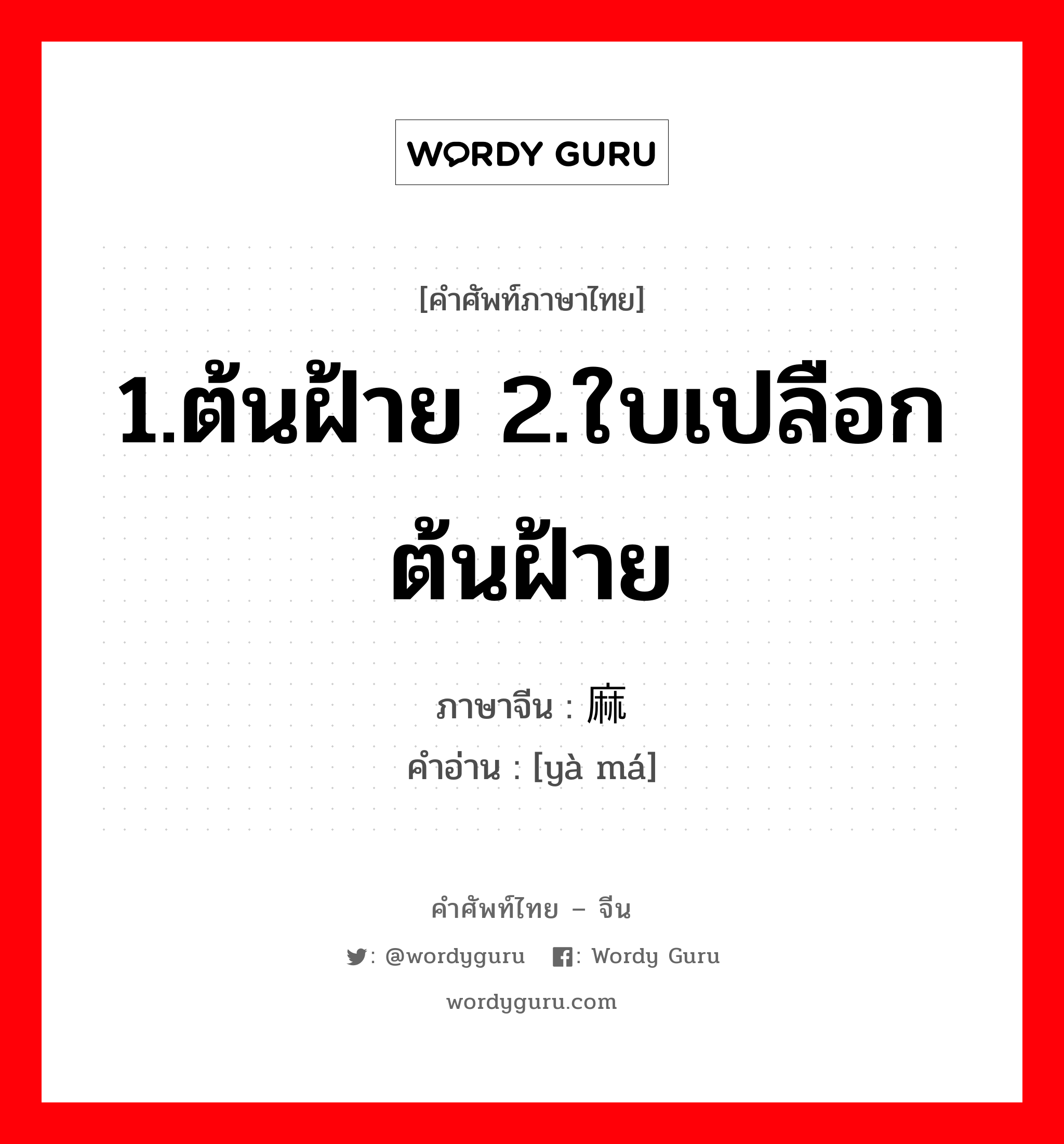 1.ต้นฝ้าย 2.ใบเปลือกต้นฝ้าย ภาษาจีนคืออะไร, คำศัพท์ภาษาไทย - จีน 1.ต้นฝ้าย 2.ใบเปลือกต้นฝ้าย ภาษาจีน 亚麻 คำอ่าน [yà má]