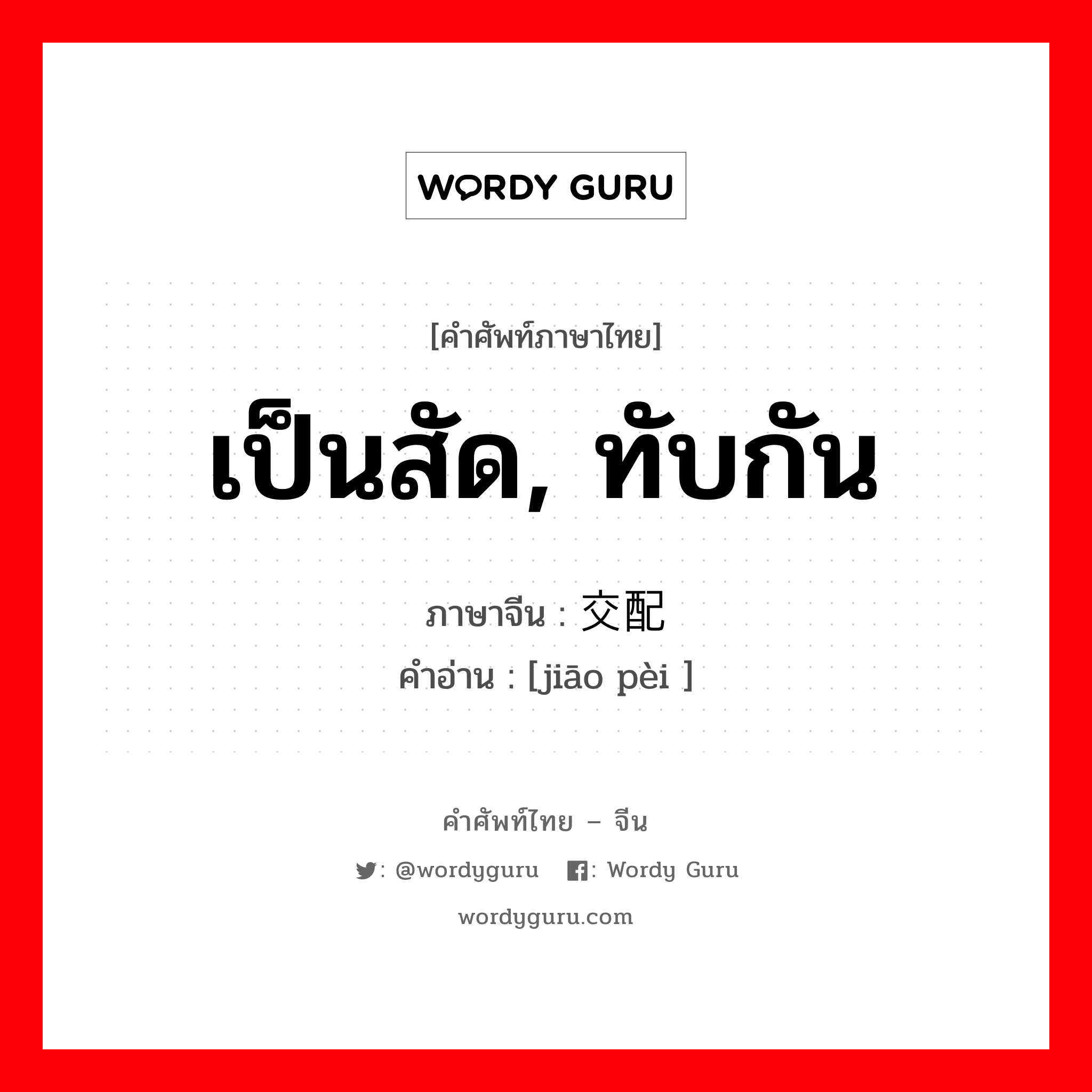 เป็นสัด, ทับกัน ภาษาจีนคืออะไร, คำศัพท์ภาษาไทย - จีน เป็นสัด, ทับกัน ภาษาจีน 交配 คำอ่าน [jiāo pèi ]