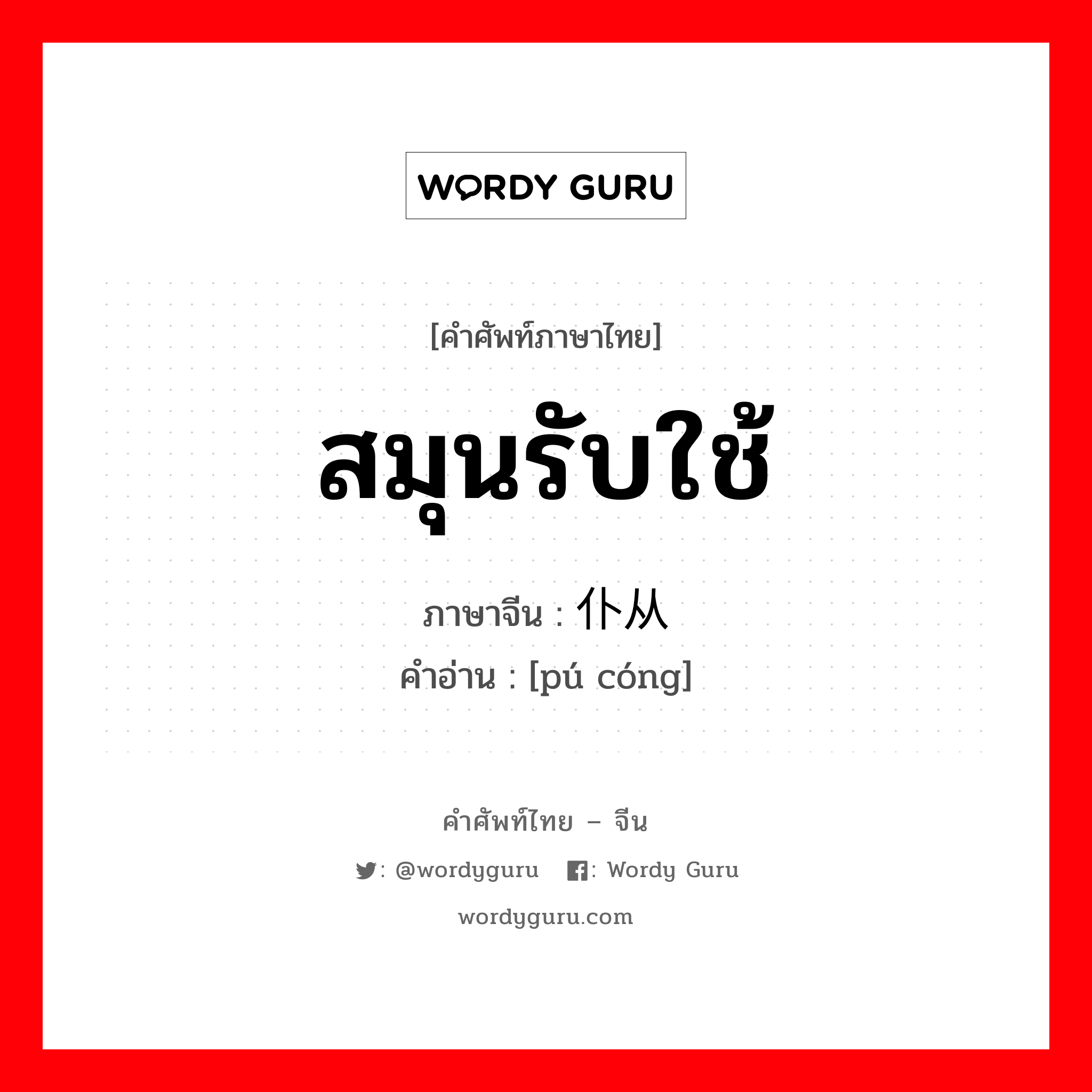 สมุนรับใช้ ภาษาจีนคืออะไร, คำศัพท์ภาษาไทย - จีน สมุนรับใช้ ภาษาจีน 仆从 คำอ่าน [pú cóng]