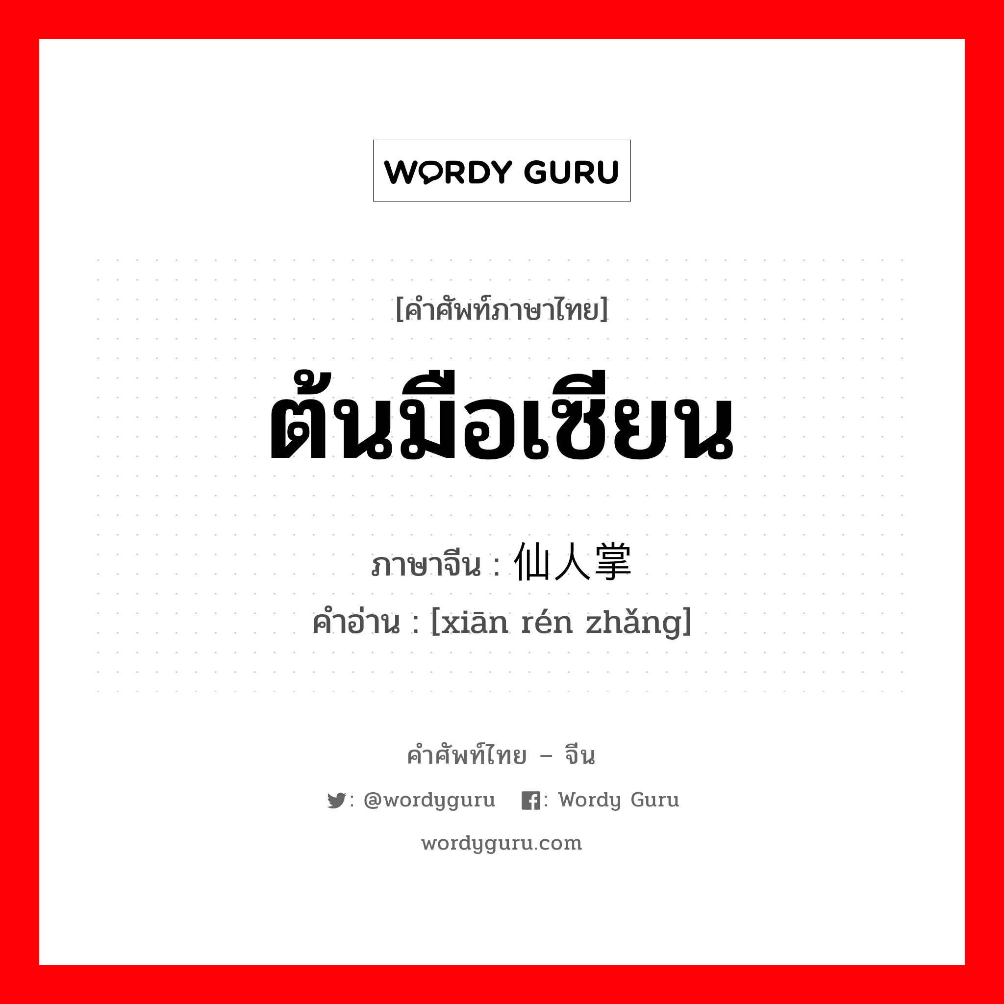 ต้นมือเซียน ภาษาจีนคืออะไร, คำศัพท์ภาษาไทย - จีน ต้นมือเซียน ภาษาจีน 仙人掌 คำอ่าน [xiān rén zhǎng]