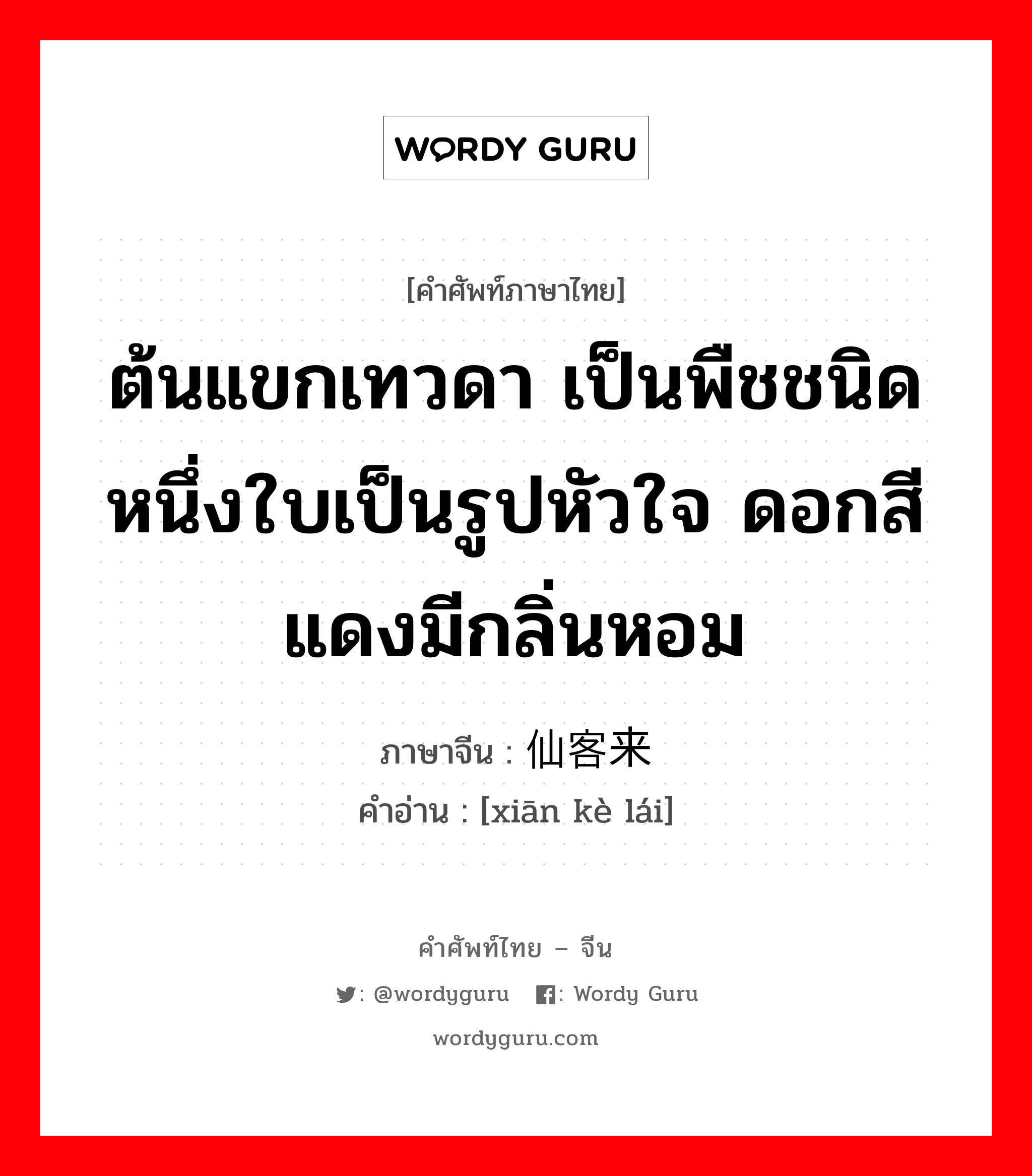 ต้นแขกเทวดา เป็นพืชชนิดหนึ่งใบเป็นรูปหัวใจ ดอกสีแดงมีกลิ่นหอม ภาษาจีนคืออะไร, คำศัพท์ภาษาไทย - จีน ต้นแขกเทวดา เป็นพืชชนิดหนึ่งใบเป็นรูปหัวใจ ดอกสีแดงมีกลิ่นหอม ภาษาจีน 仙客来 คำอ่าน [xiān kè lái]