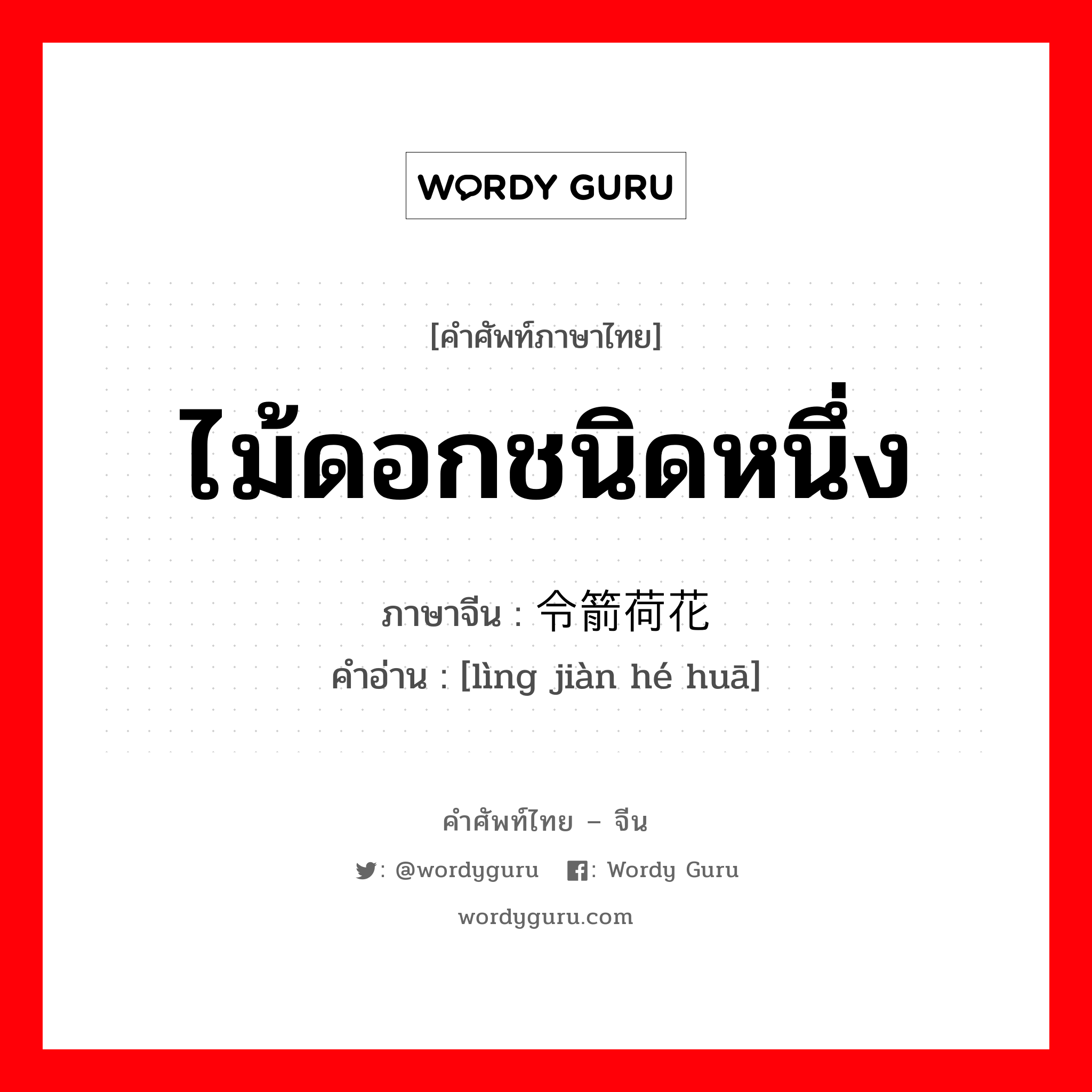 ไม้ดอกชนิดหนึ่ง ภาษาจีนคืออะไร, คำศัพท์ภาษาไทย - จีน ไม้ดอกชนิดหนึ่ง ภาษาจีน 令箭荷花 คำอ่าน [lìng jiàn hé huā]